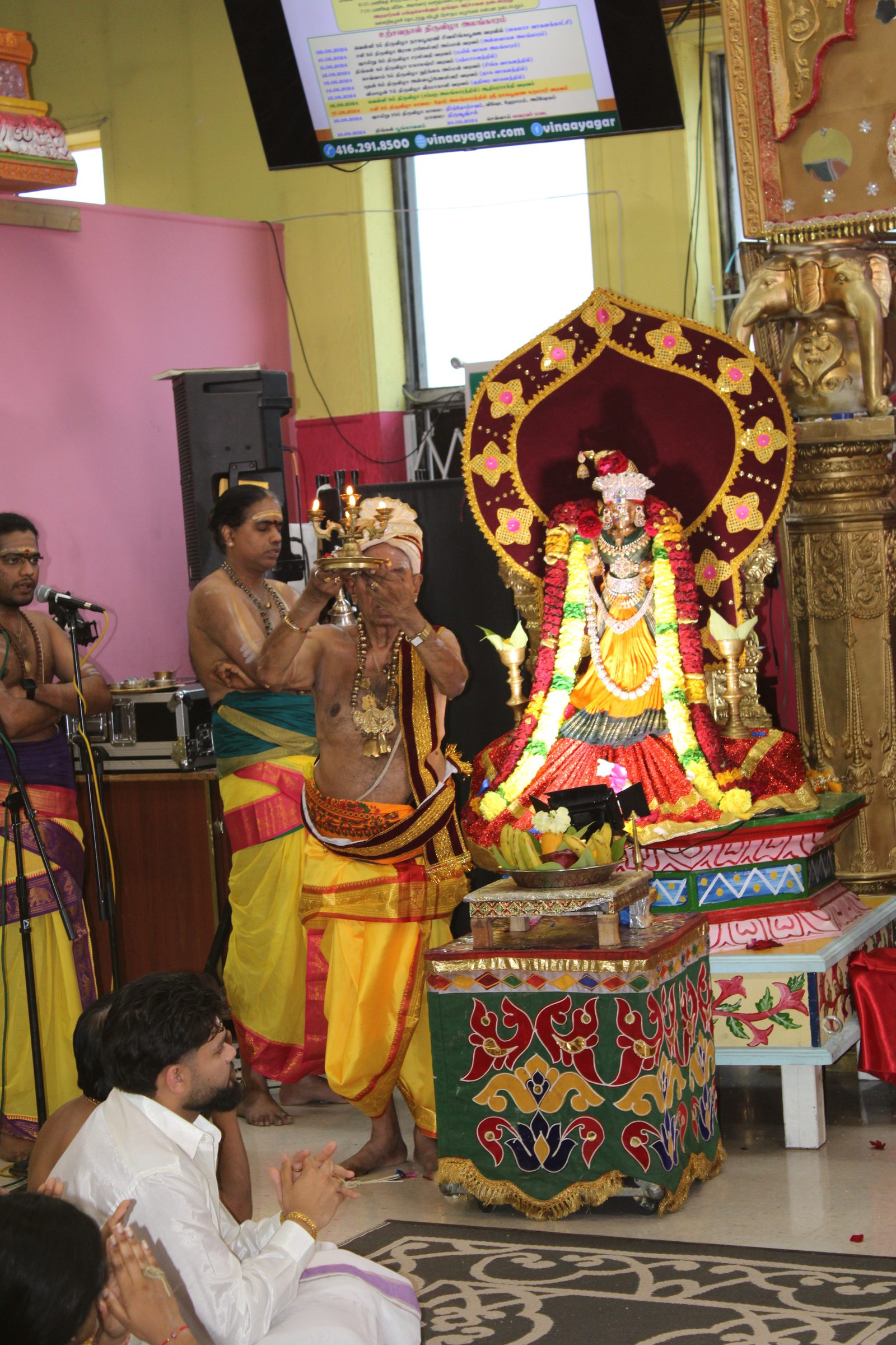 Festival 2024 photo