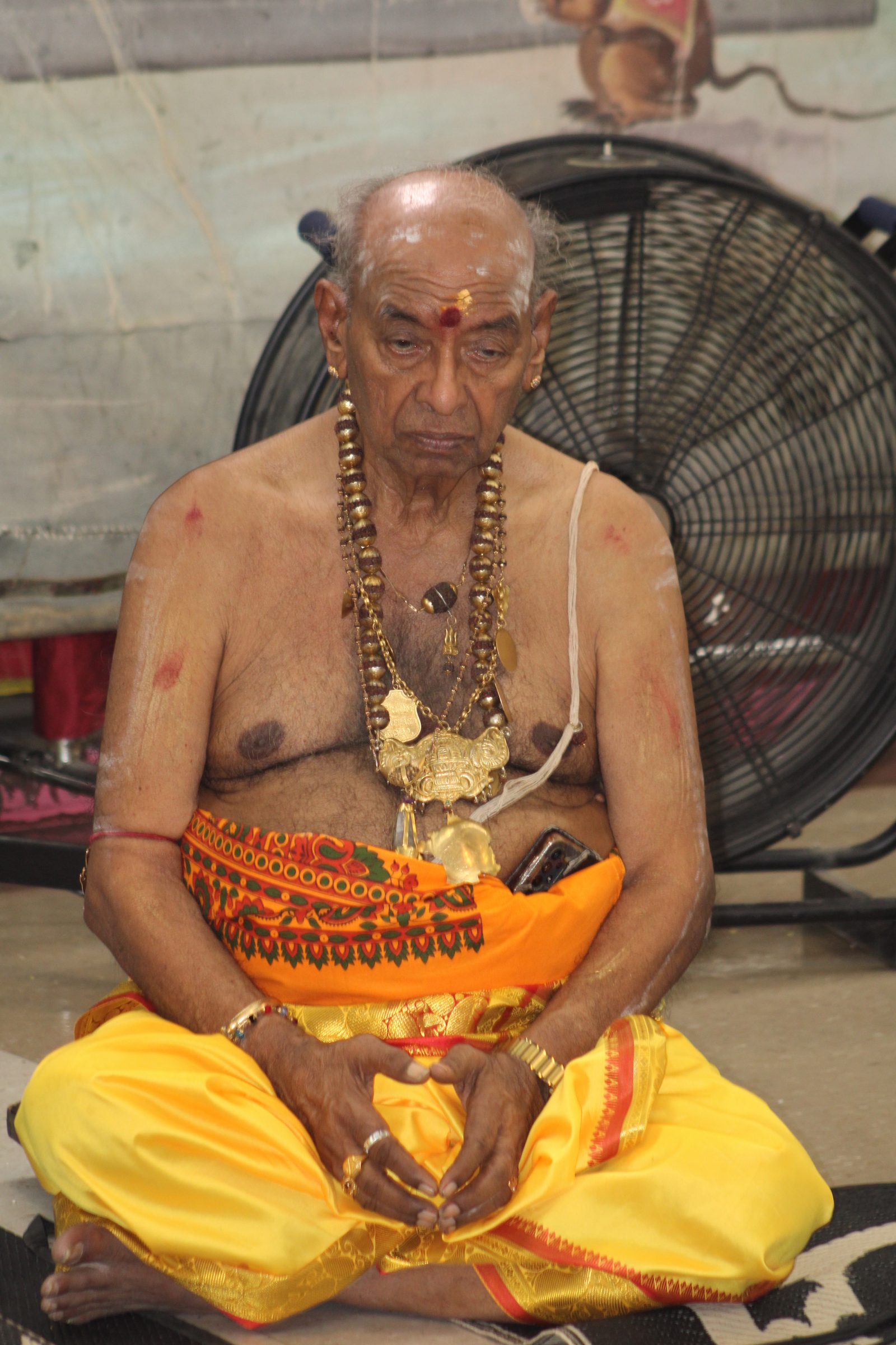 Festival 2024 photo