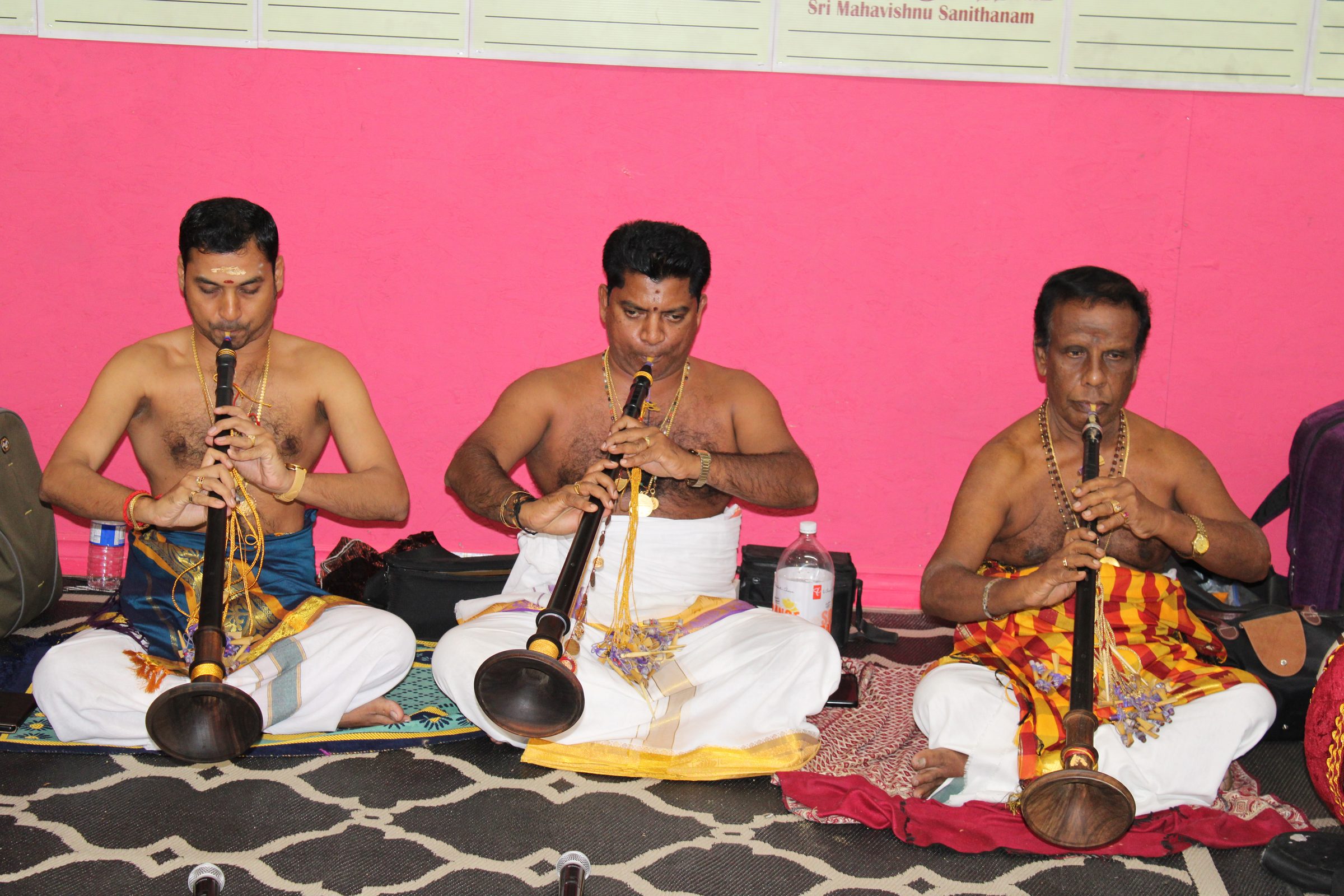 Festival 2024 photo