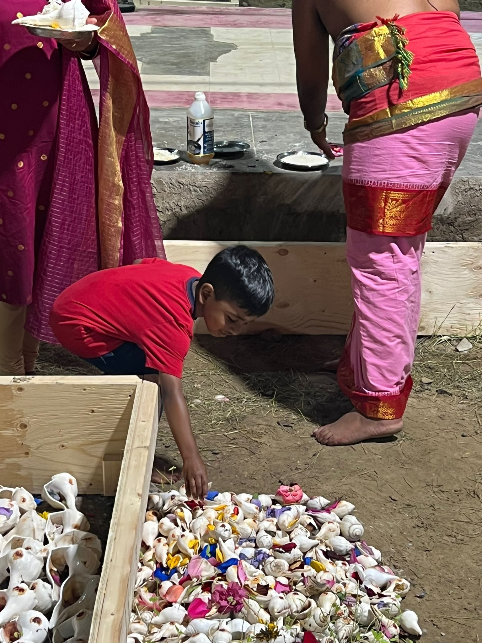 Festival 2024 photo