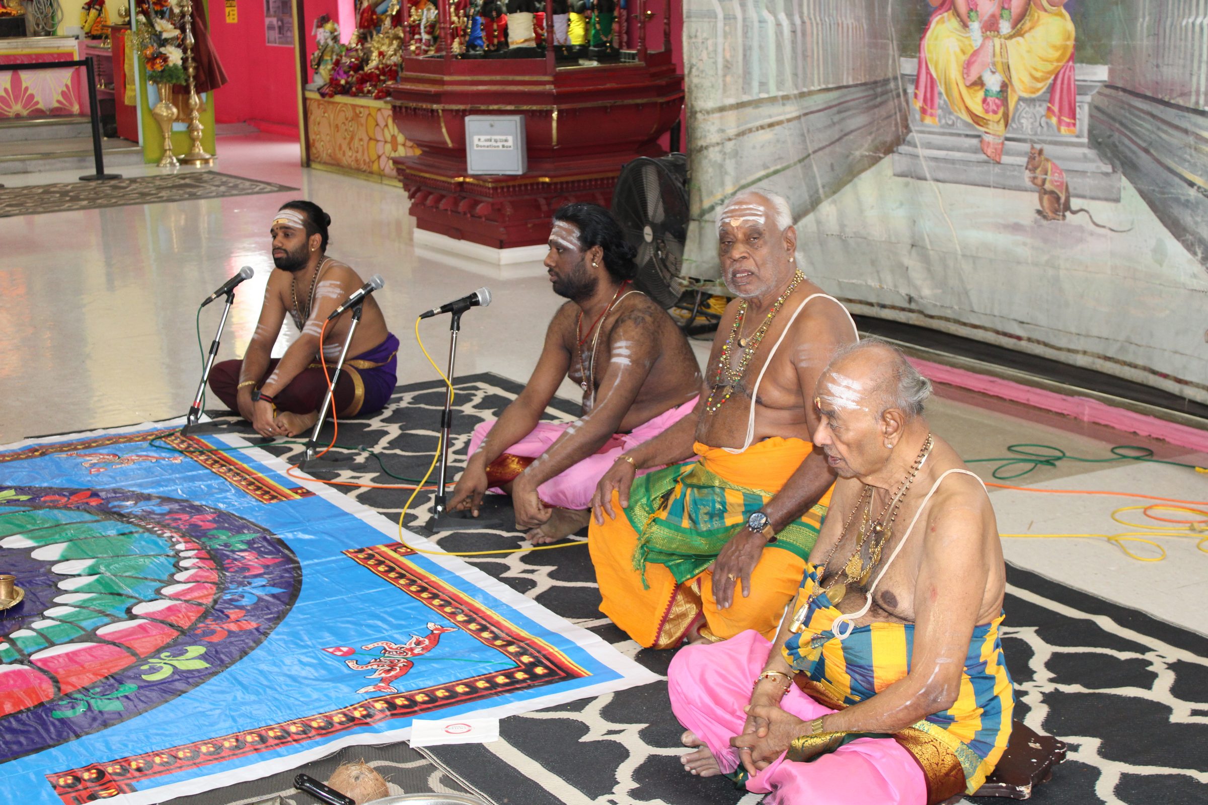 Festival 2024 photo