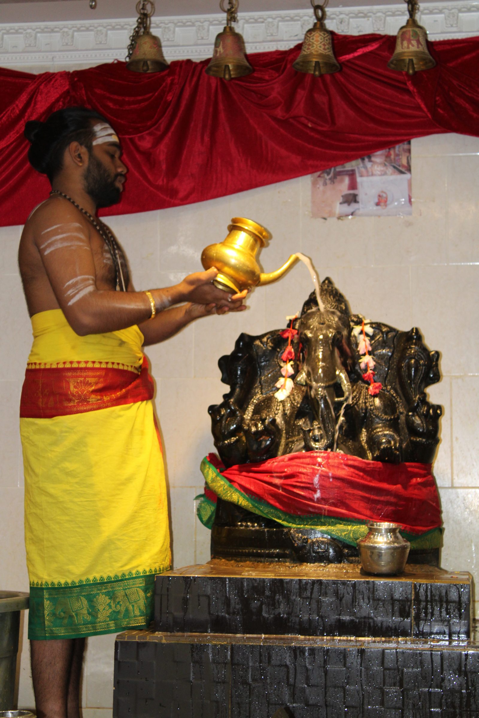 Festival 2024 photo