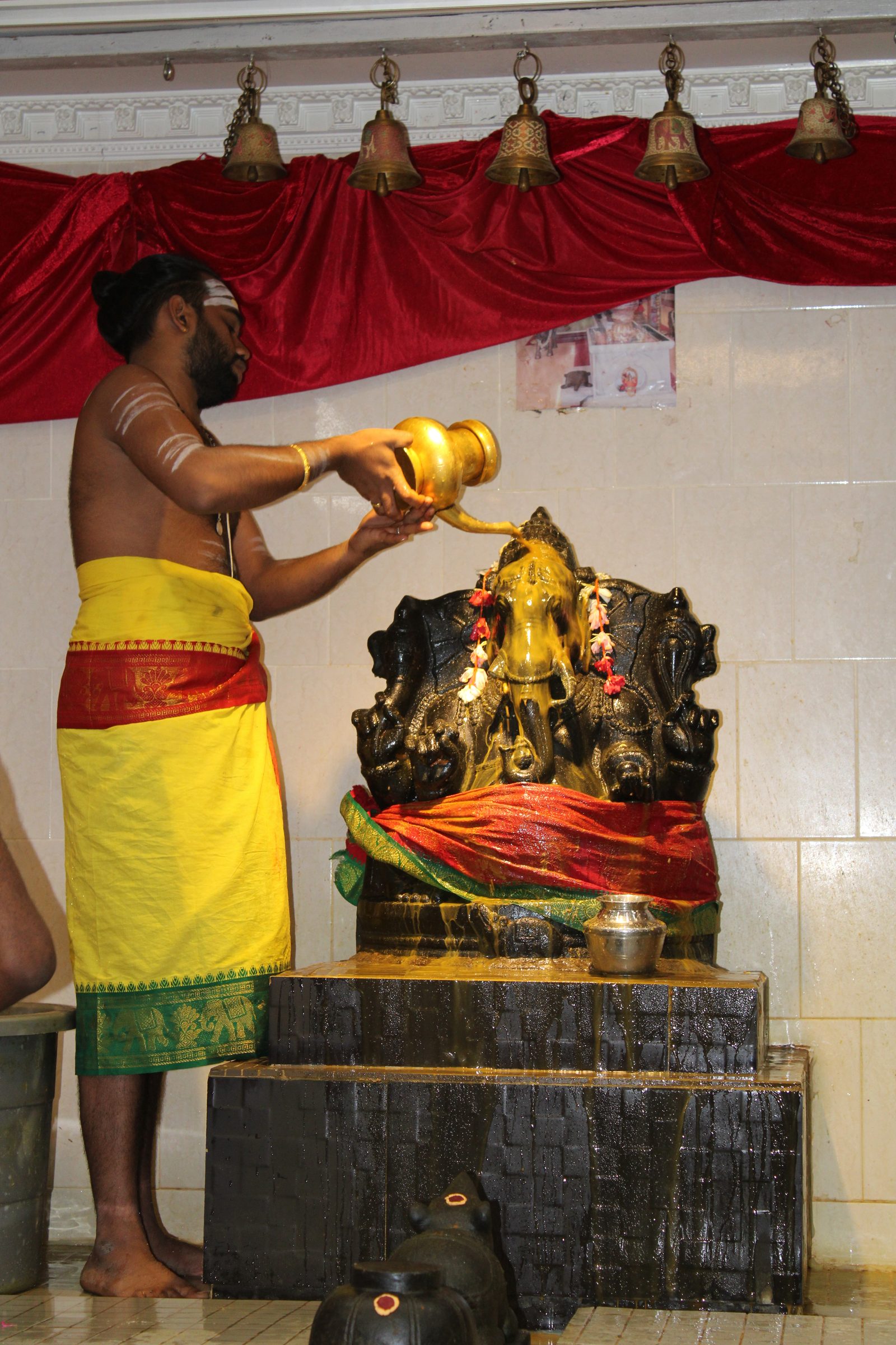 Festival 2024 photo