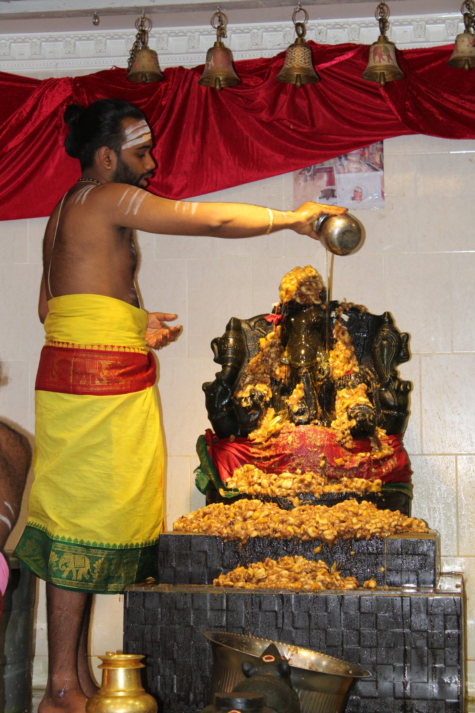 Festival 2024 photo
