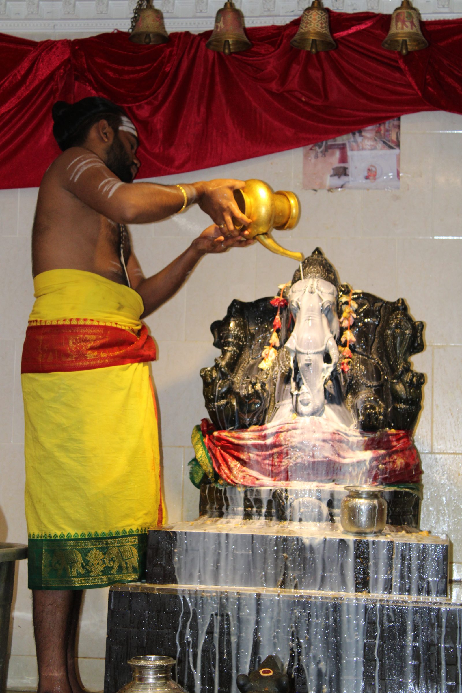 Festival 2024 photo