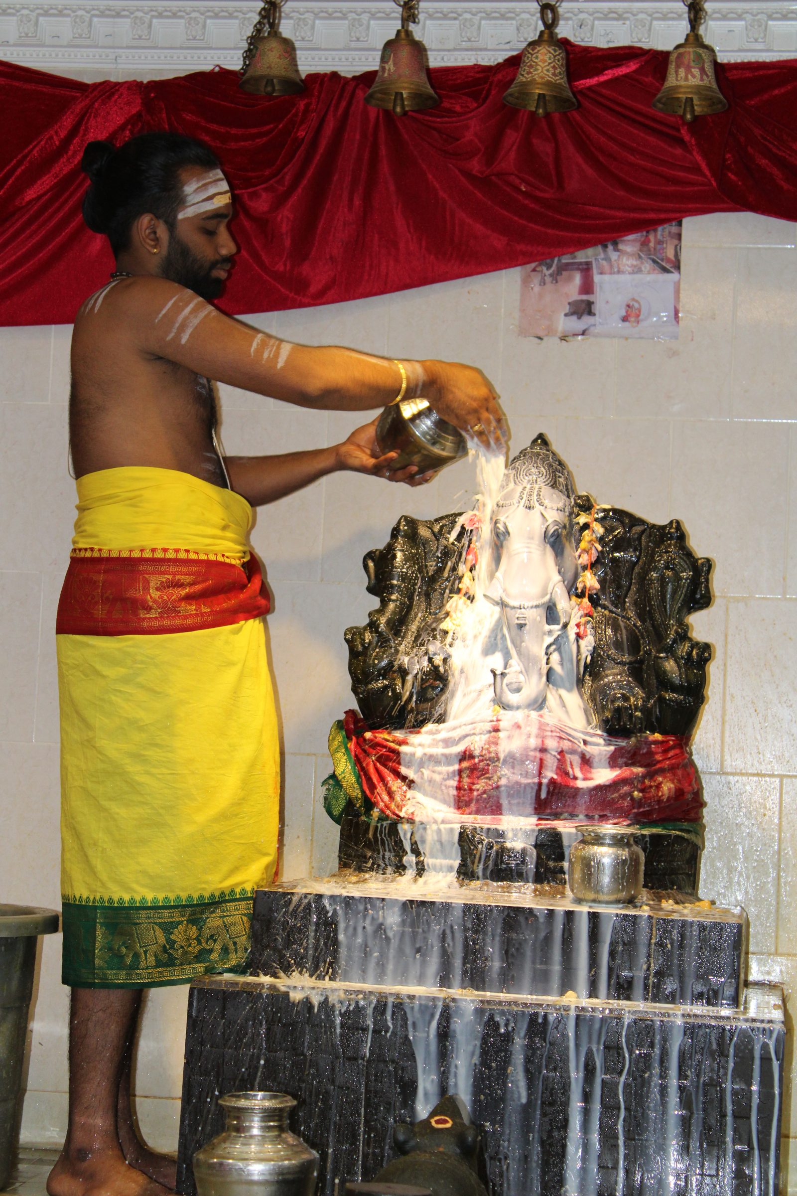 Festival 2024 photo