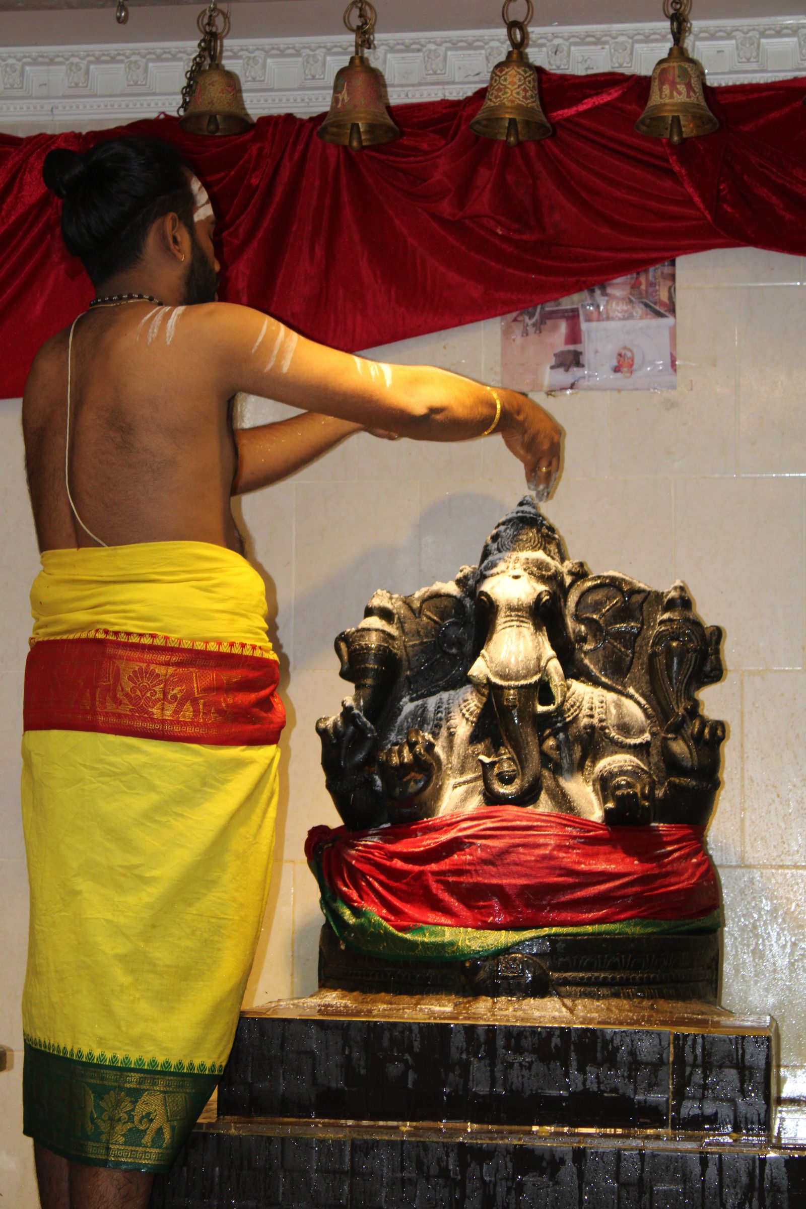 Festival 2024 photo