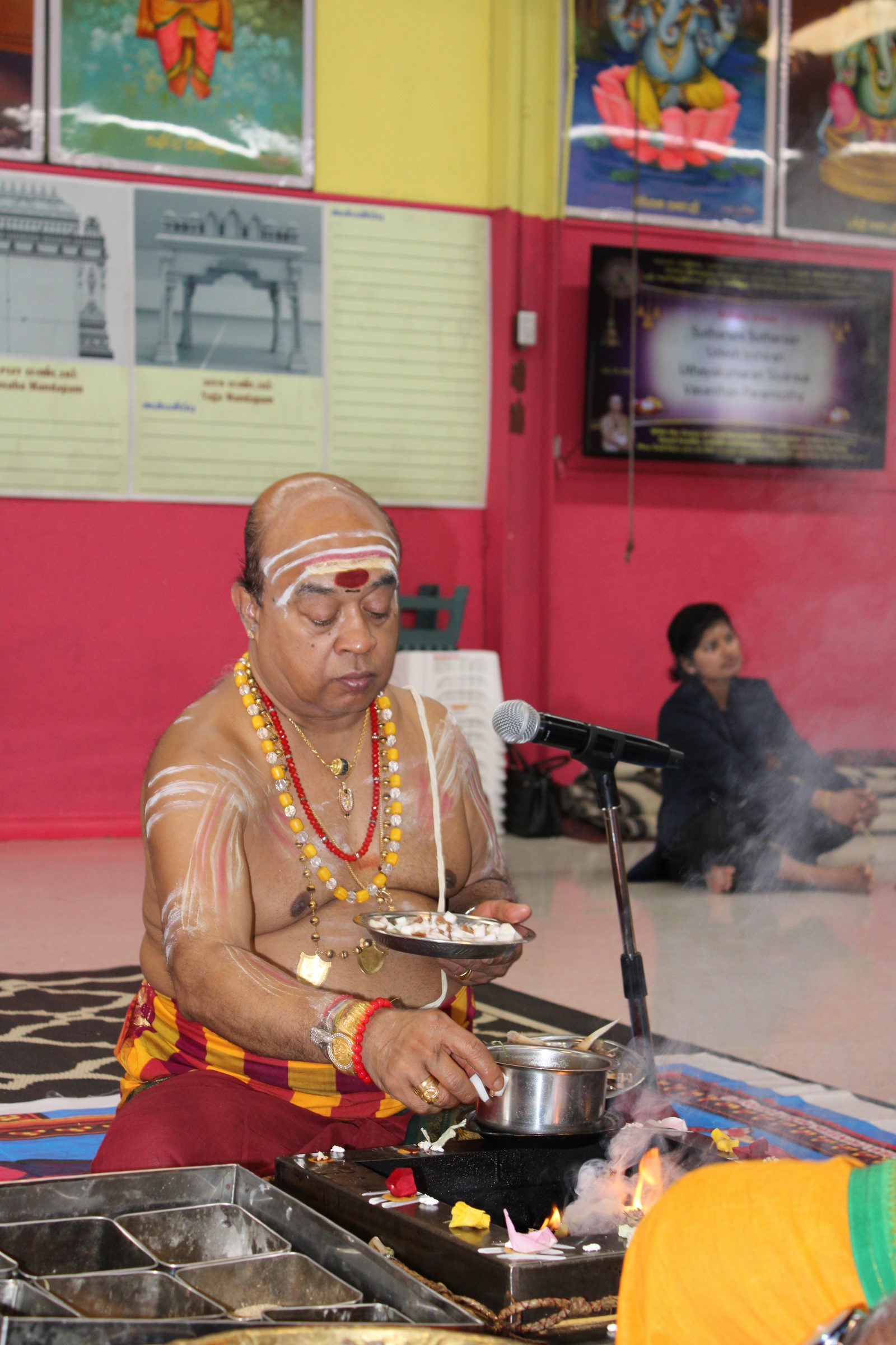 Festival 2024 photo