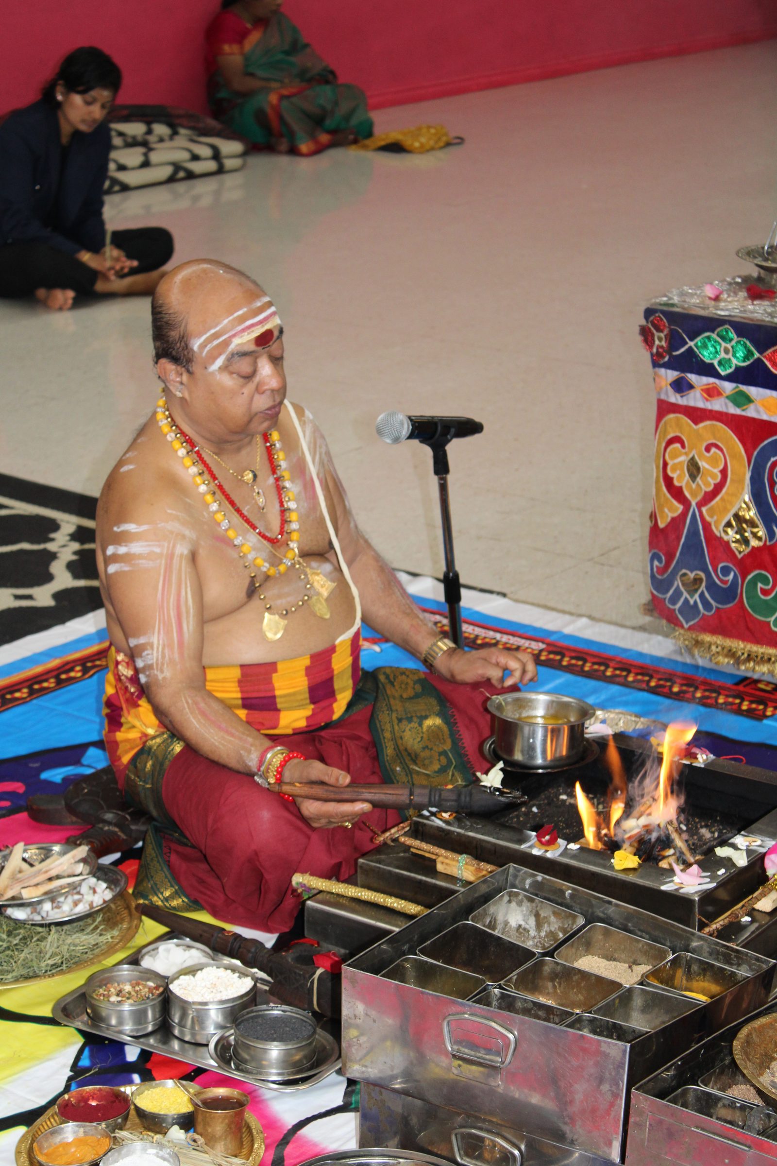 Festival 2024 photo