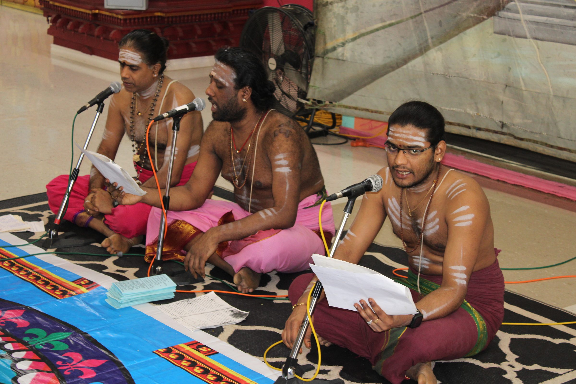 Festival 2024 photo