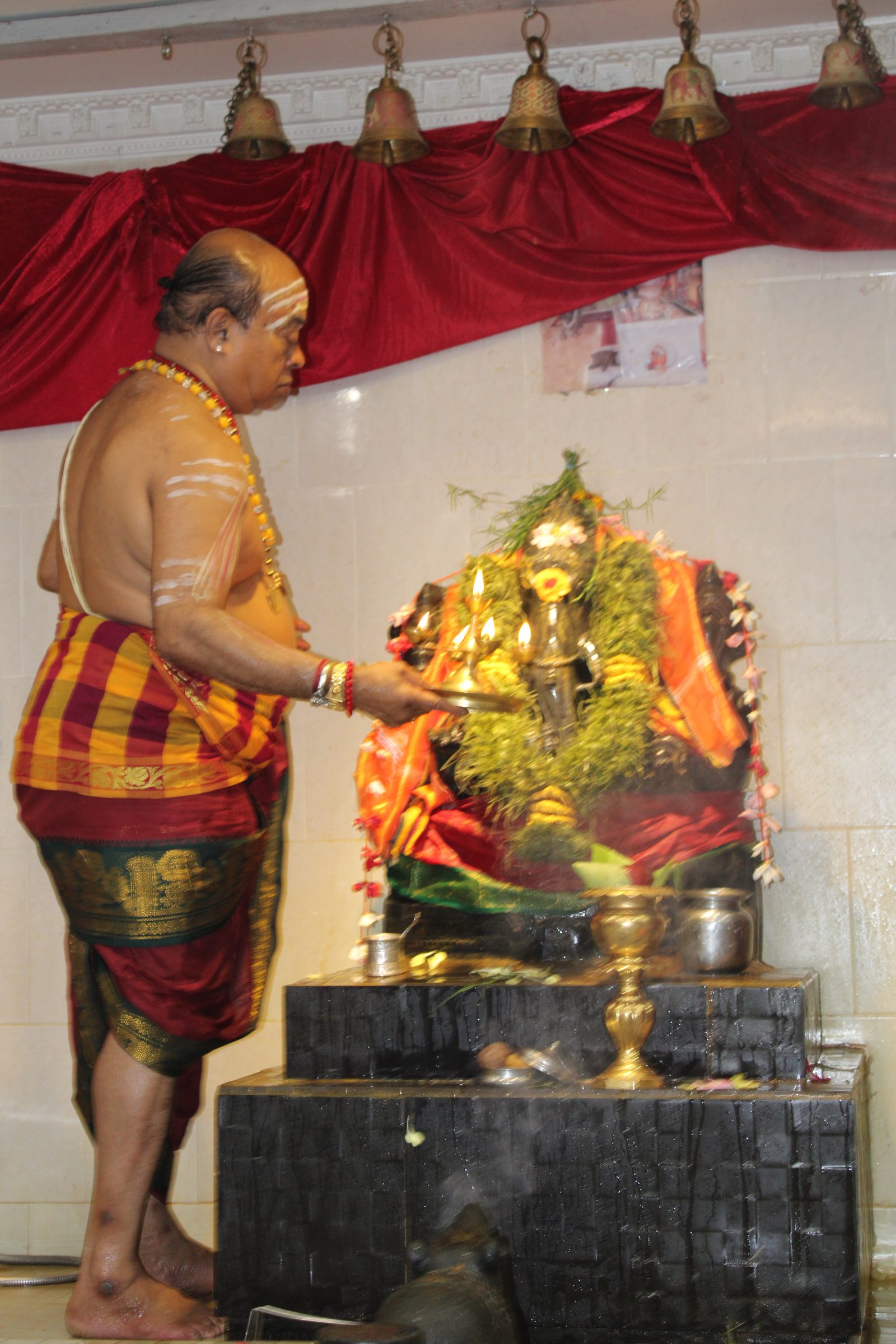 Festival 2024 photo