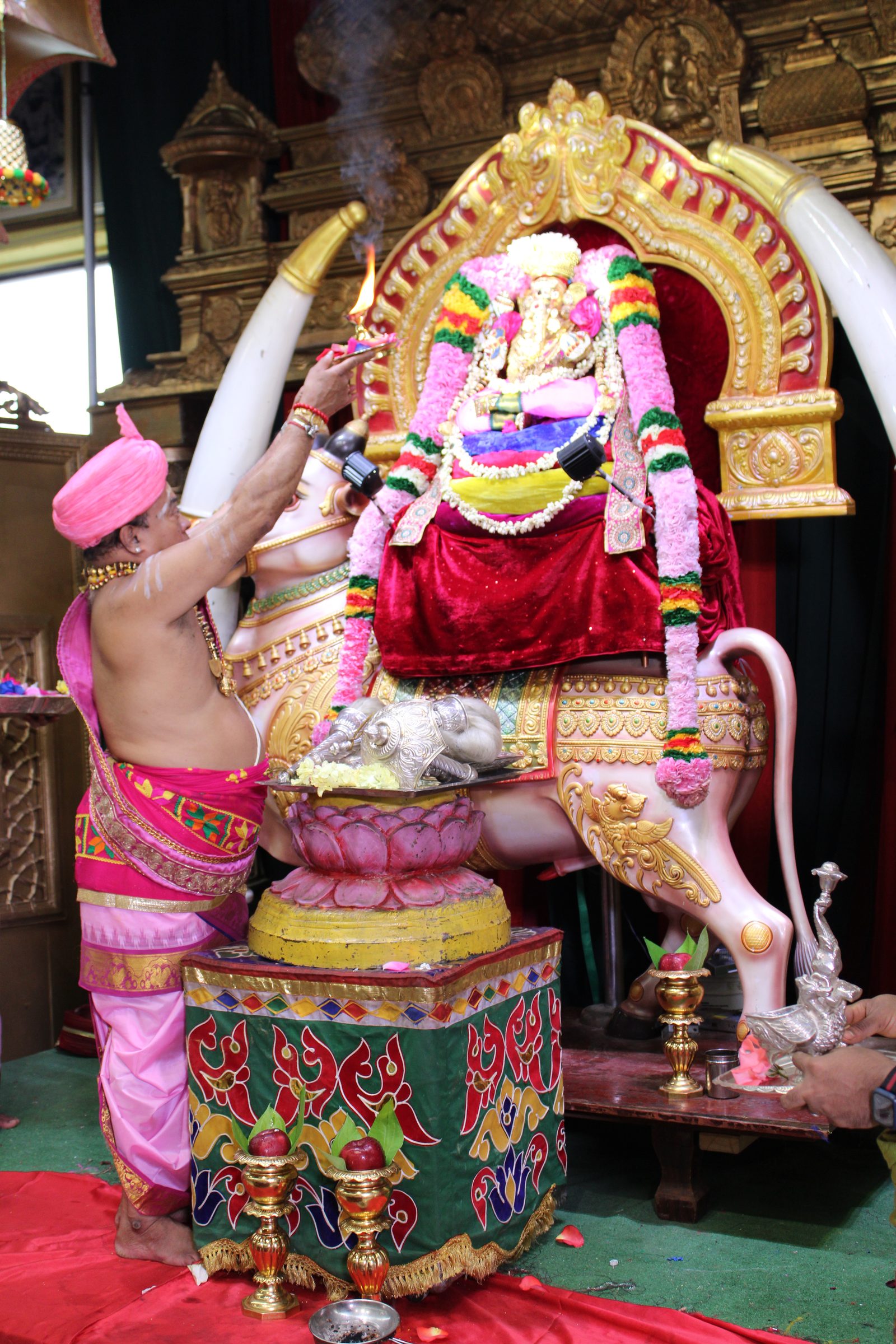 Festival 2024 photo
