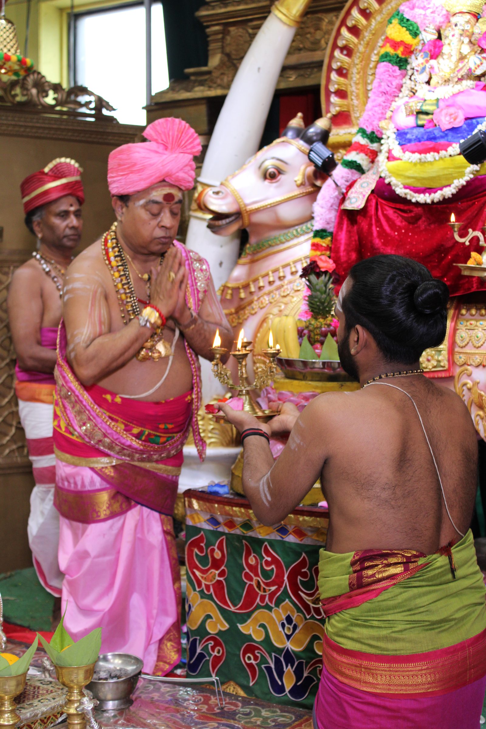 Festival 2024 photo