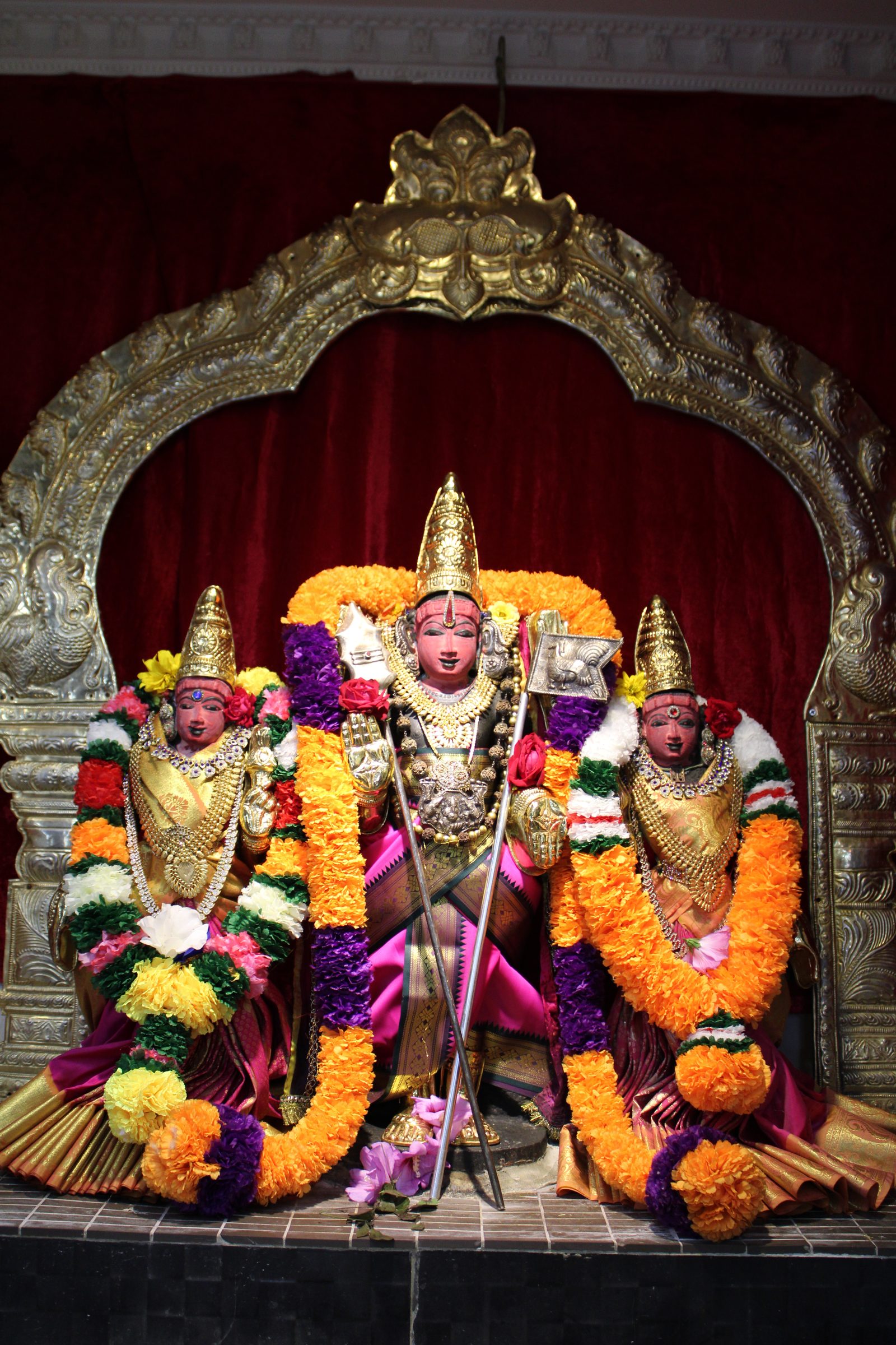 Festival 2024 photo
