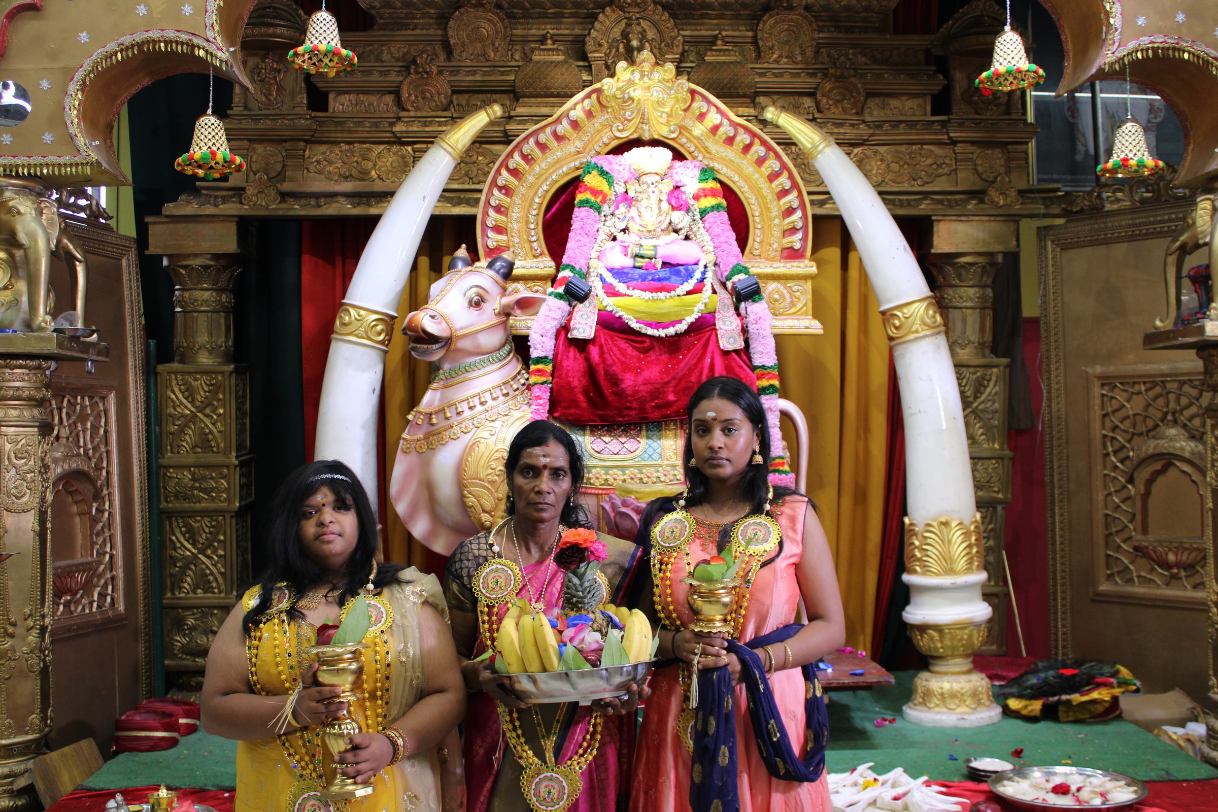 Festival 2024 photo
