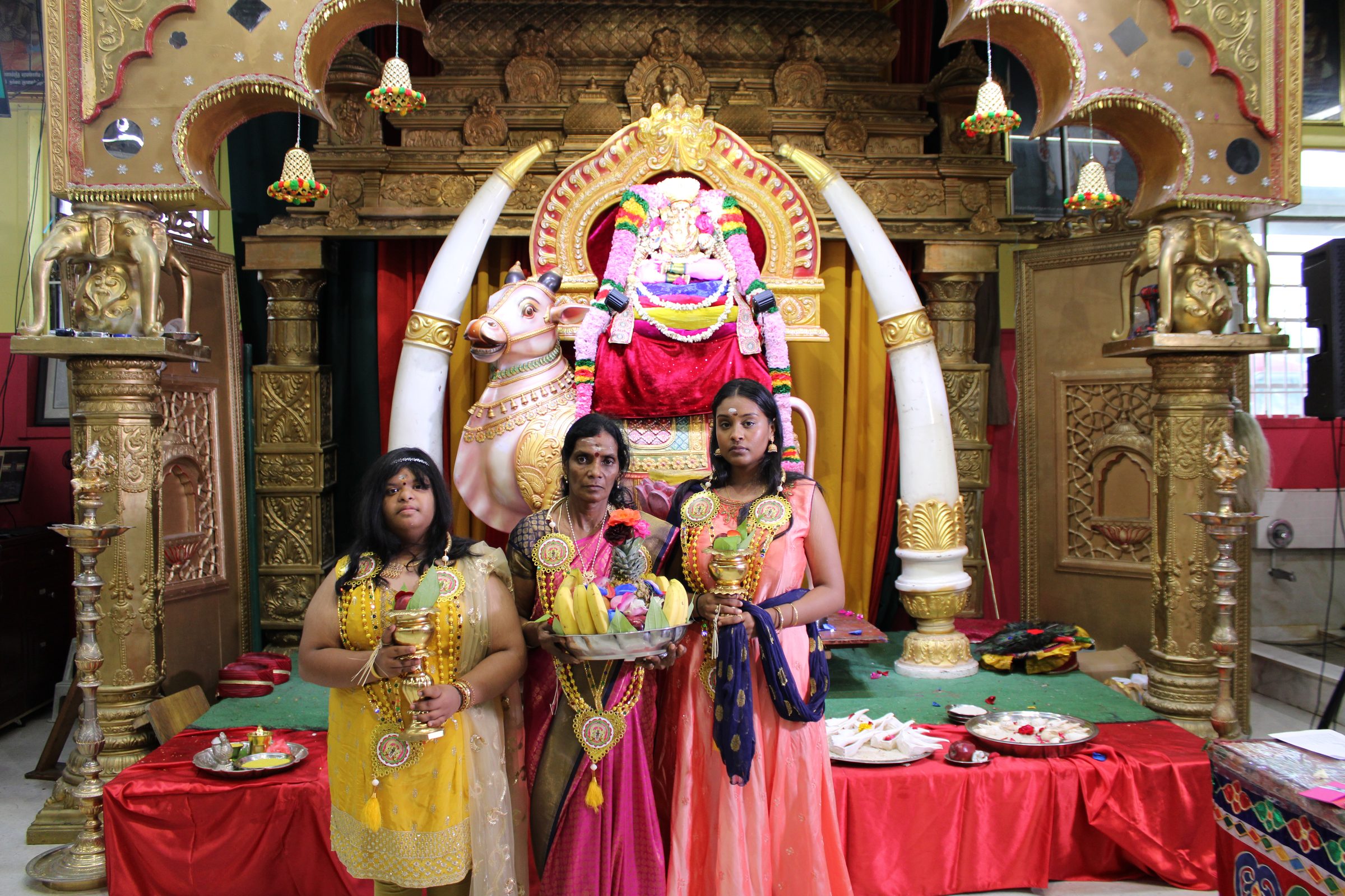 Festival 2024 photo