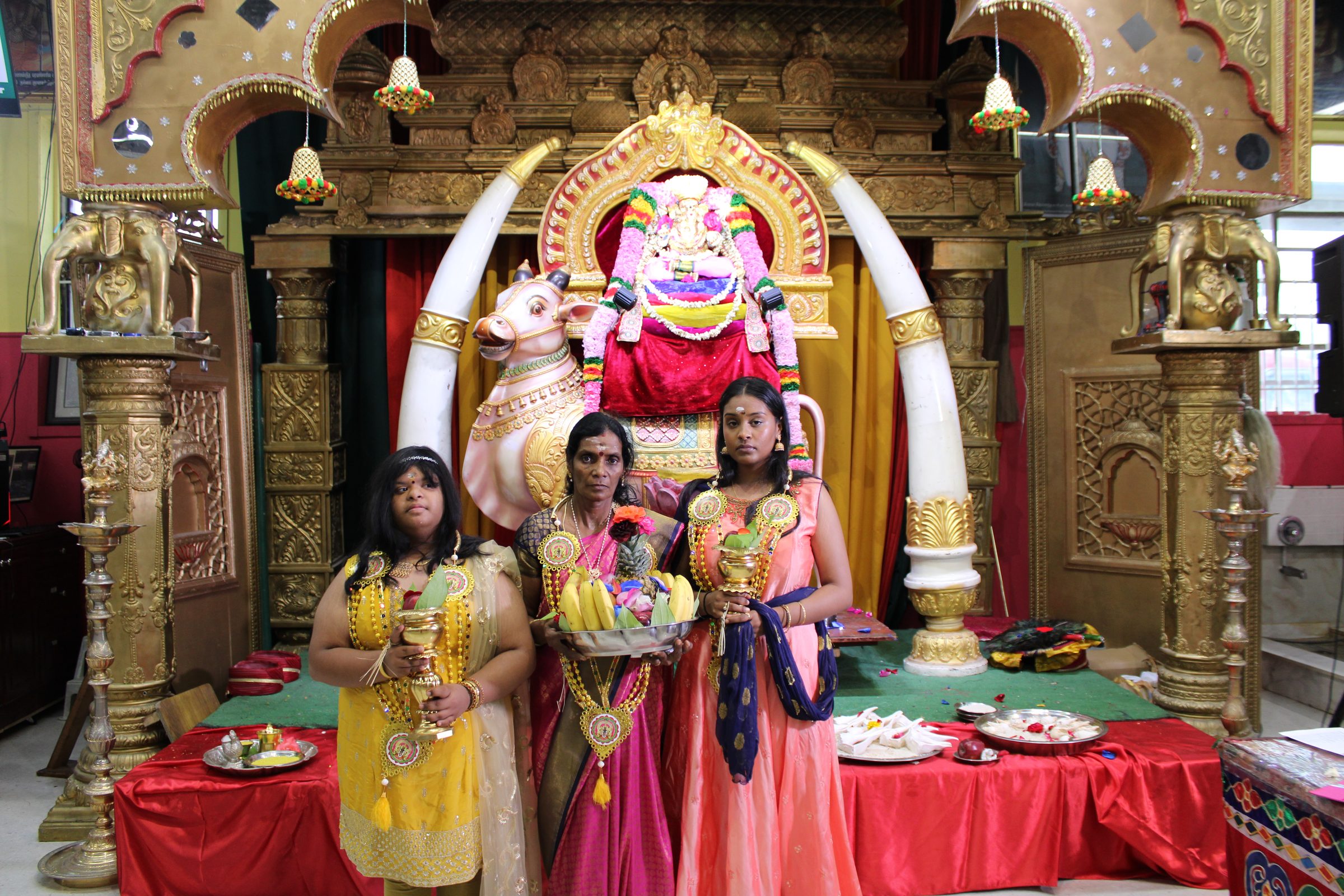 Festival 2024 photo
