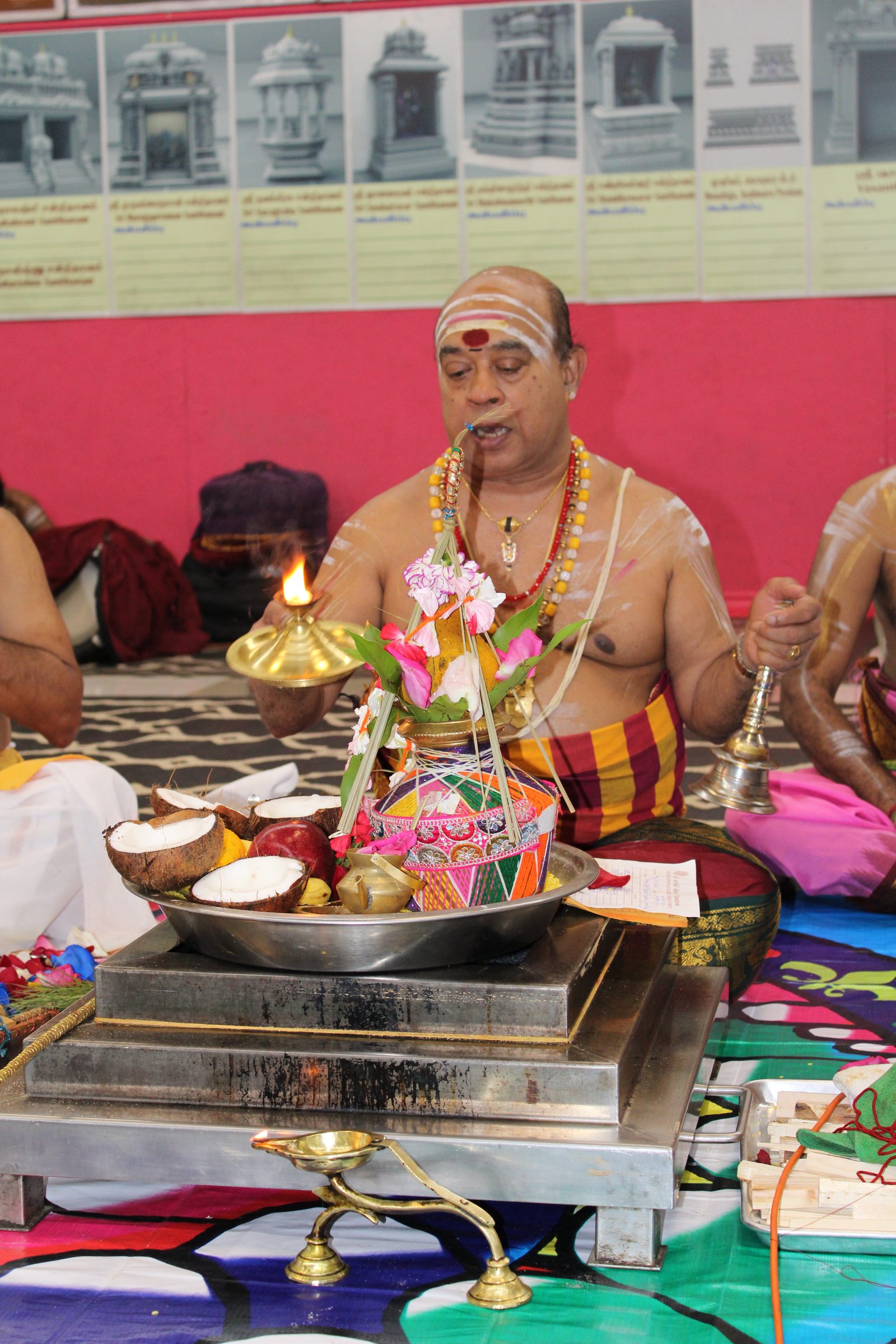 Festival 2024 photo