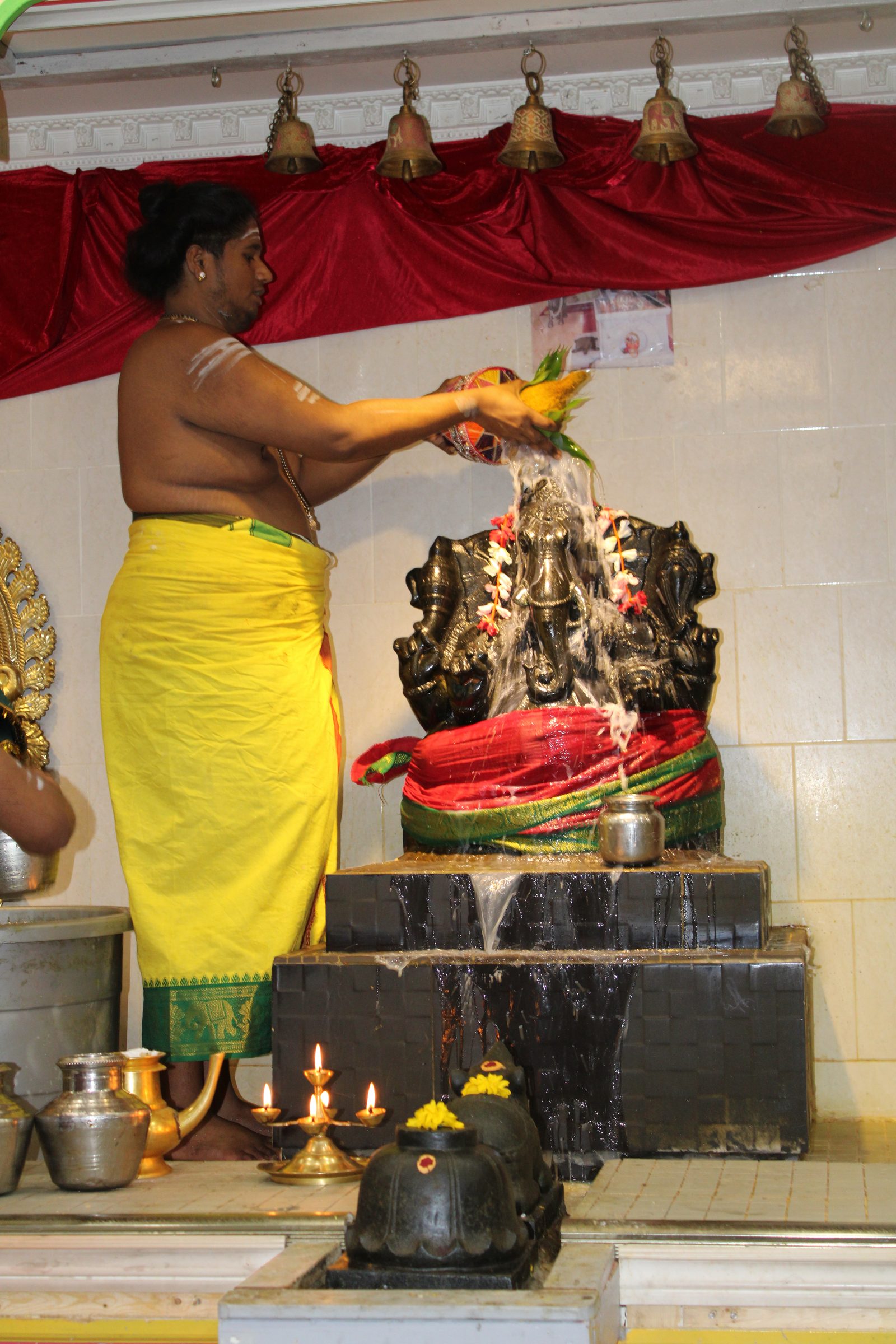 Festival 2024 photo
