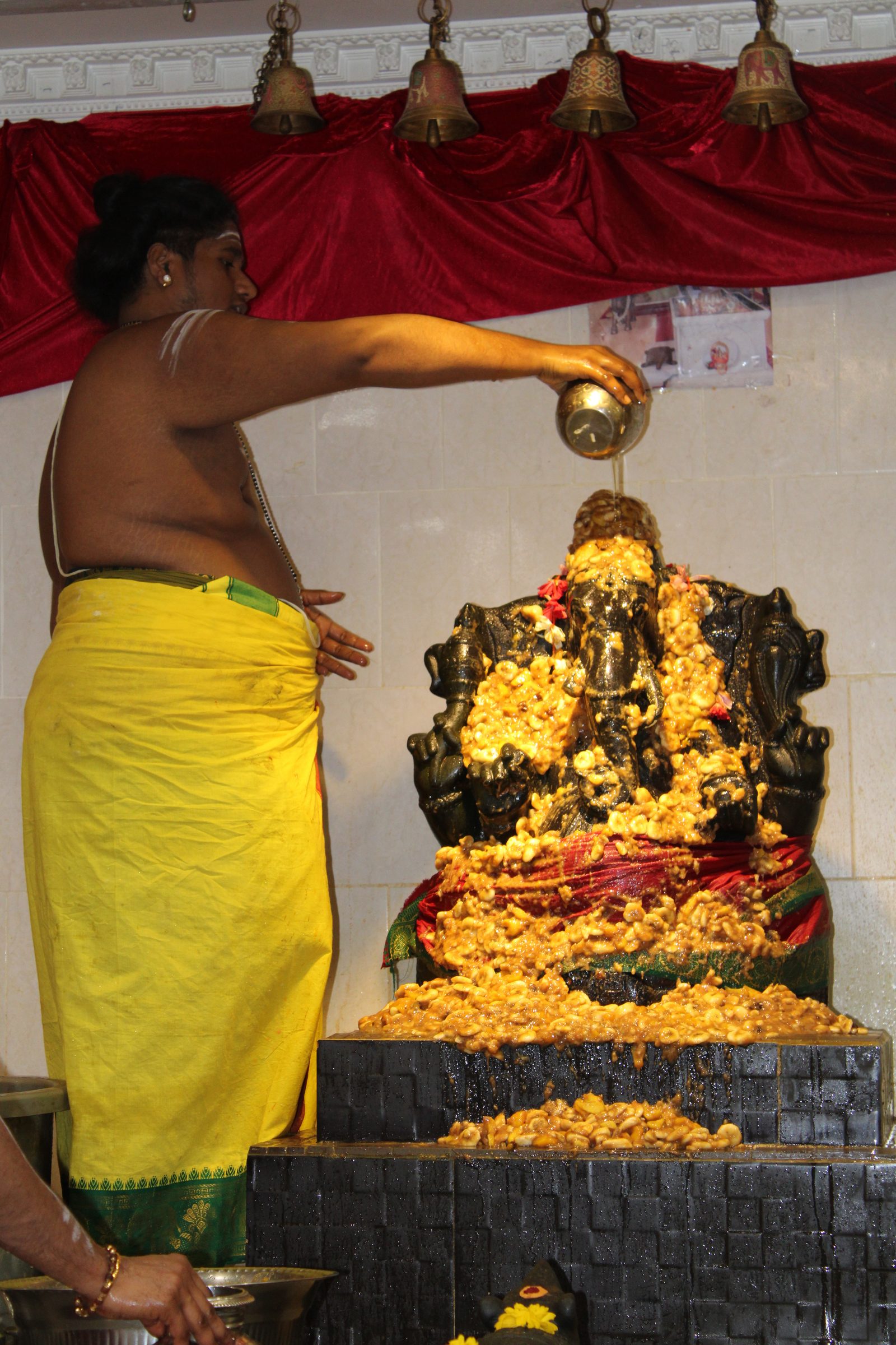 Festival 2024 photo
