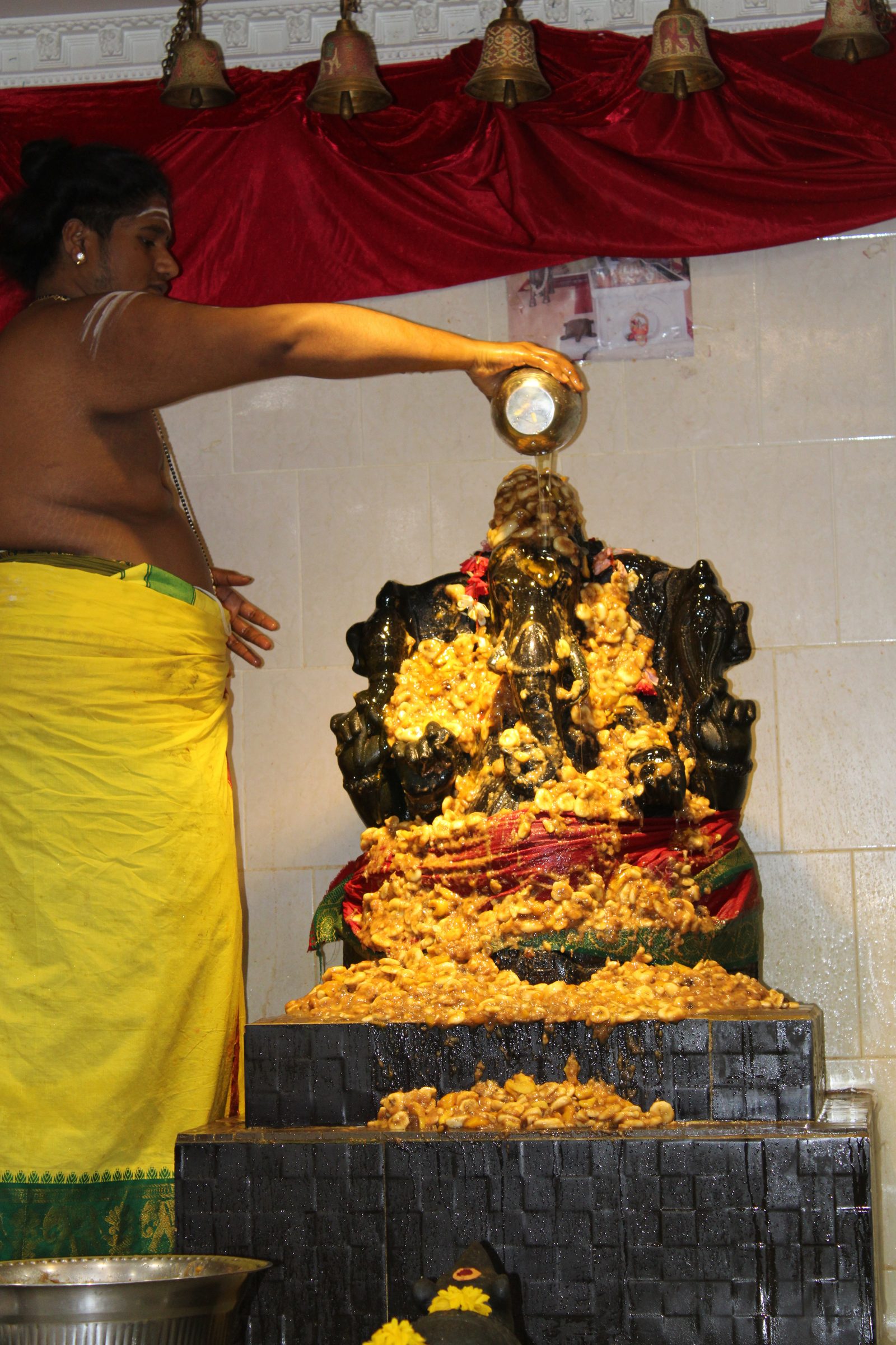 Festival 2024 photo