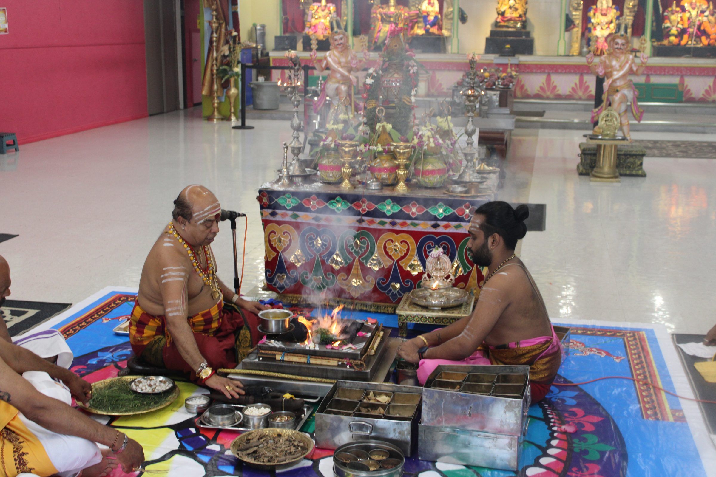 Festival 2024 photo