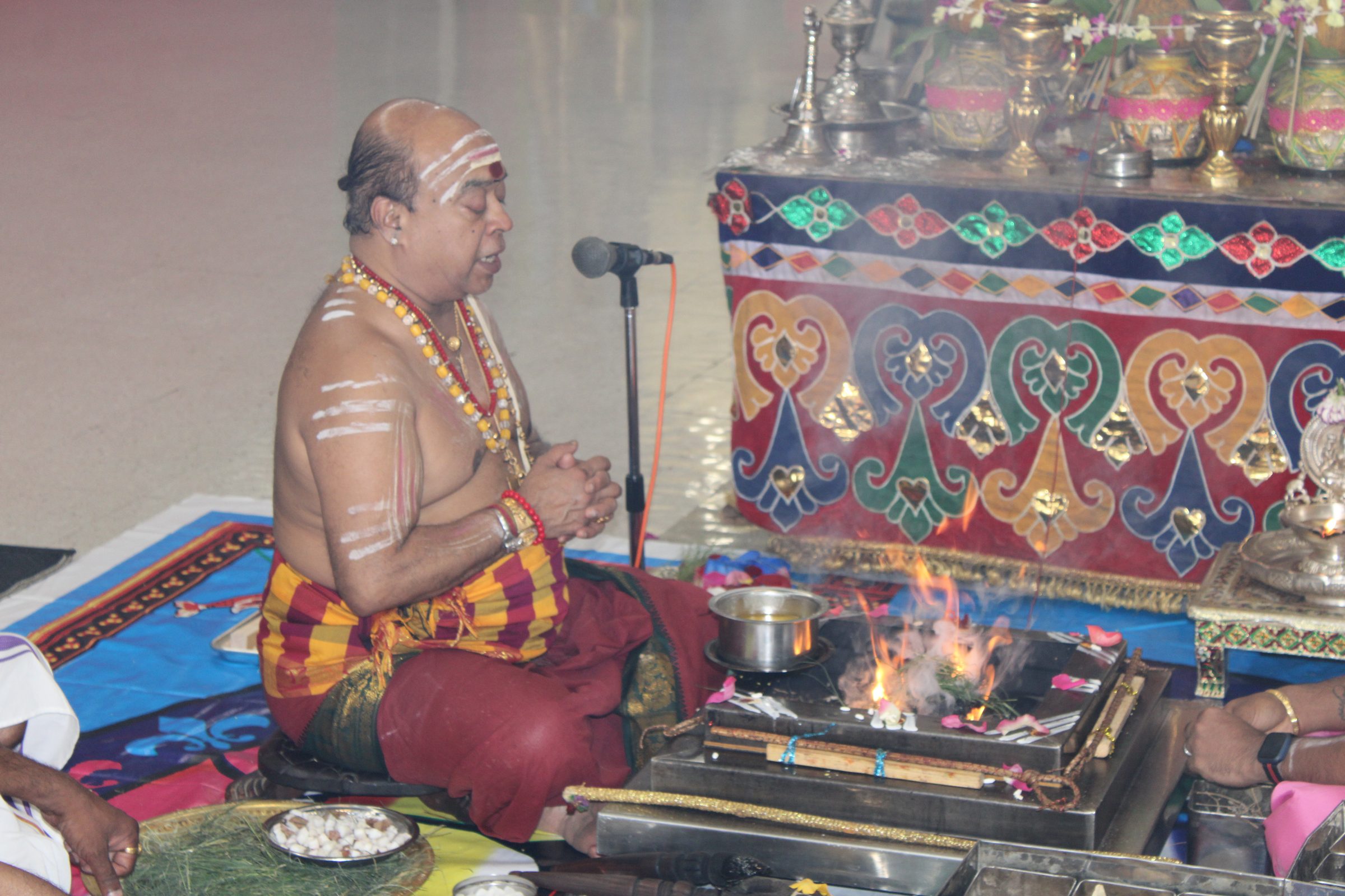 Festival 2024 photo