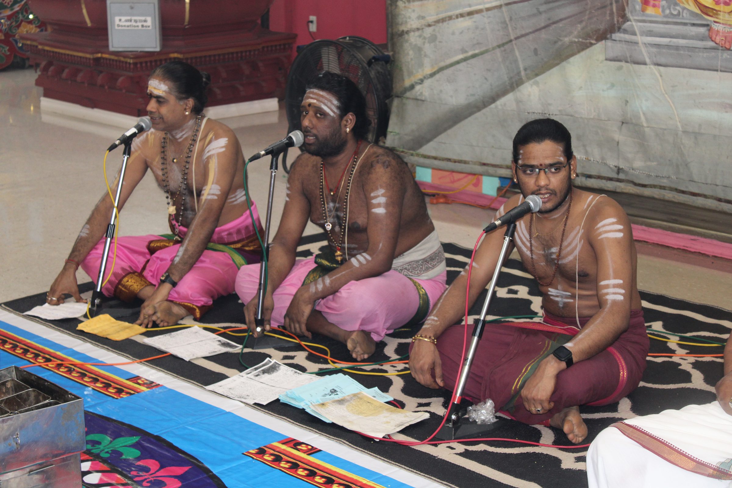 Festival 2024 photo