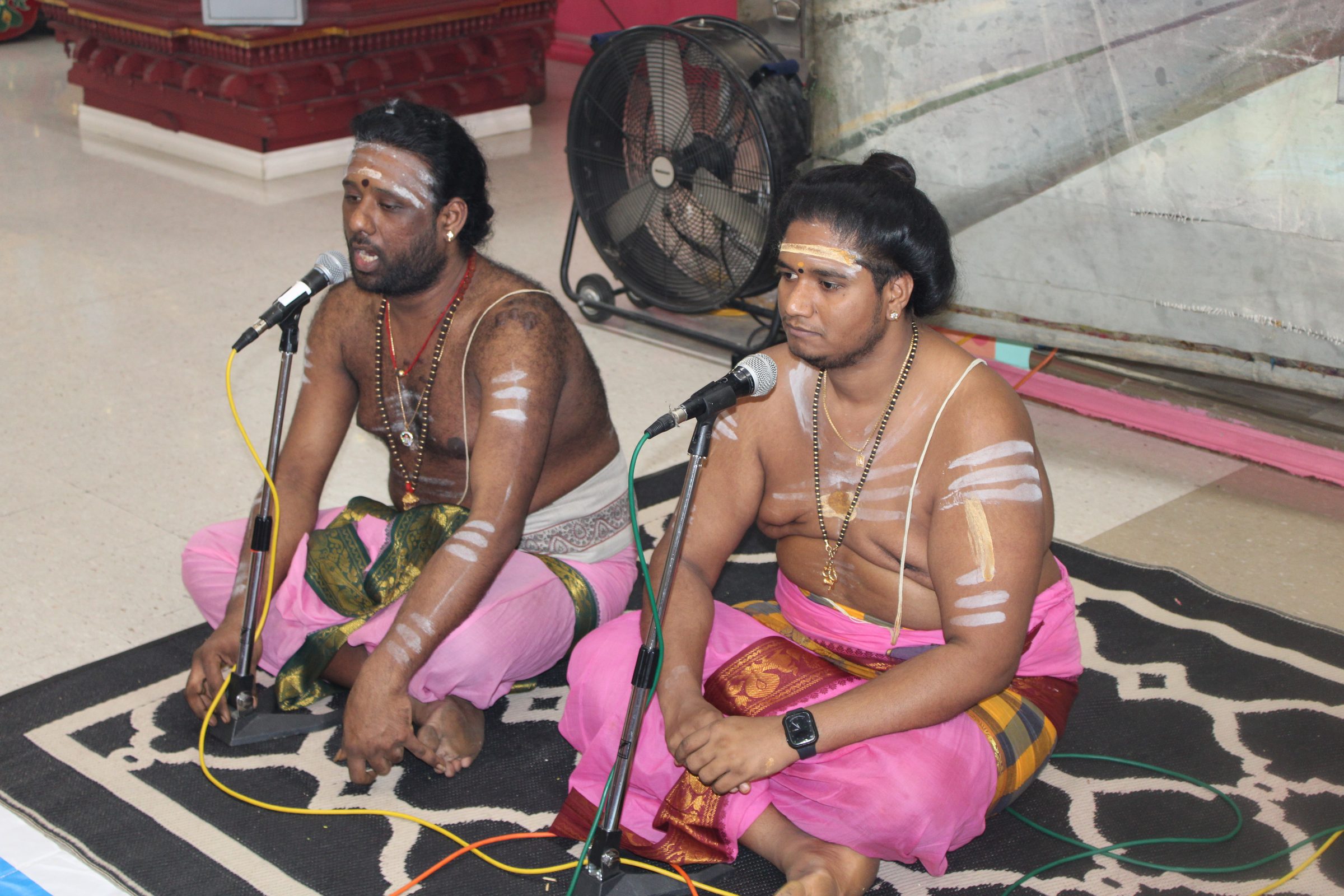 Festival 2024 photo