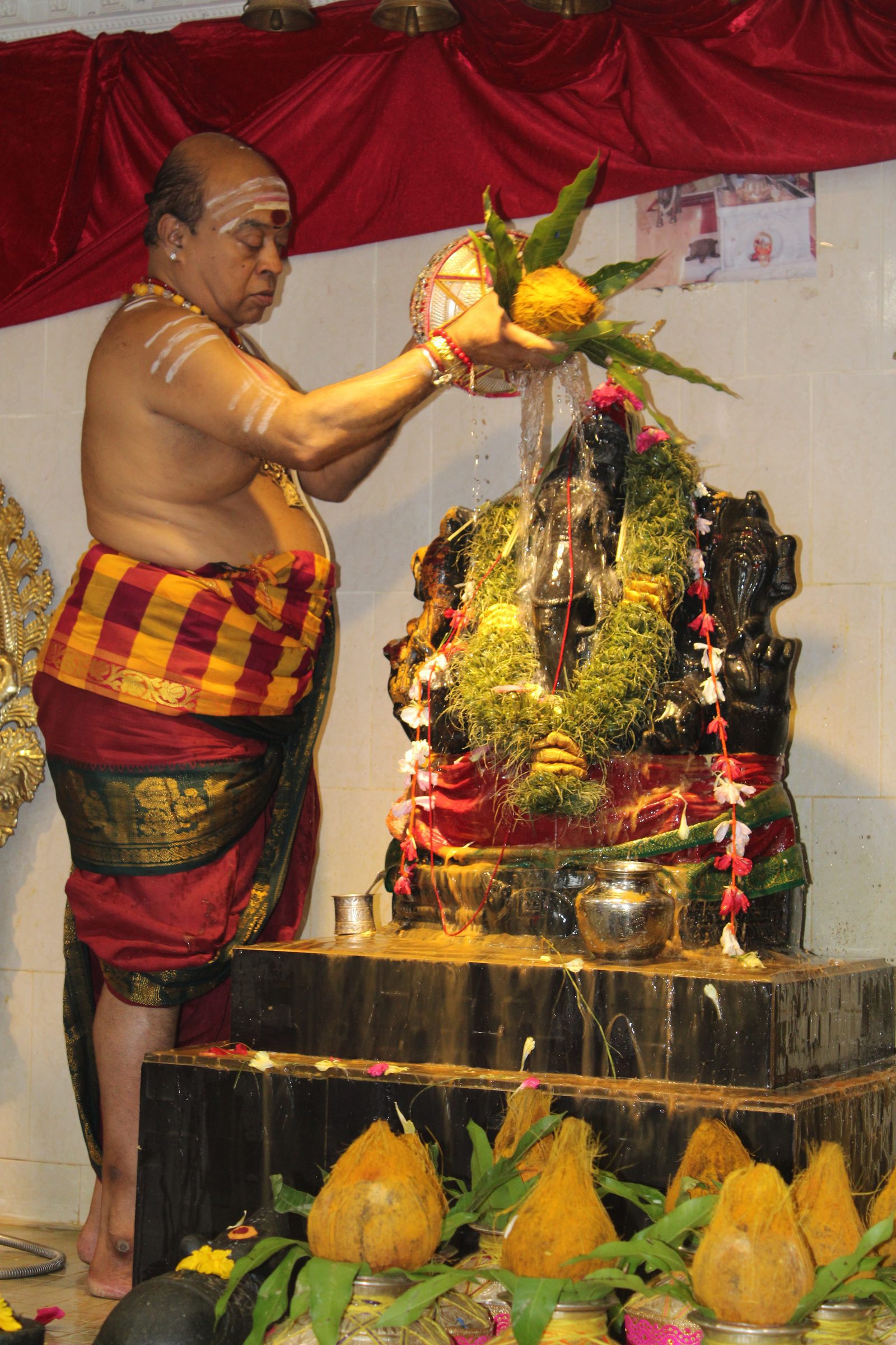 Festival 2024 photo