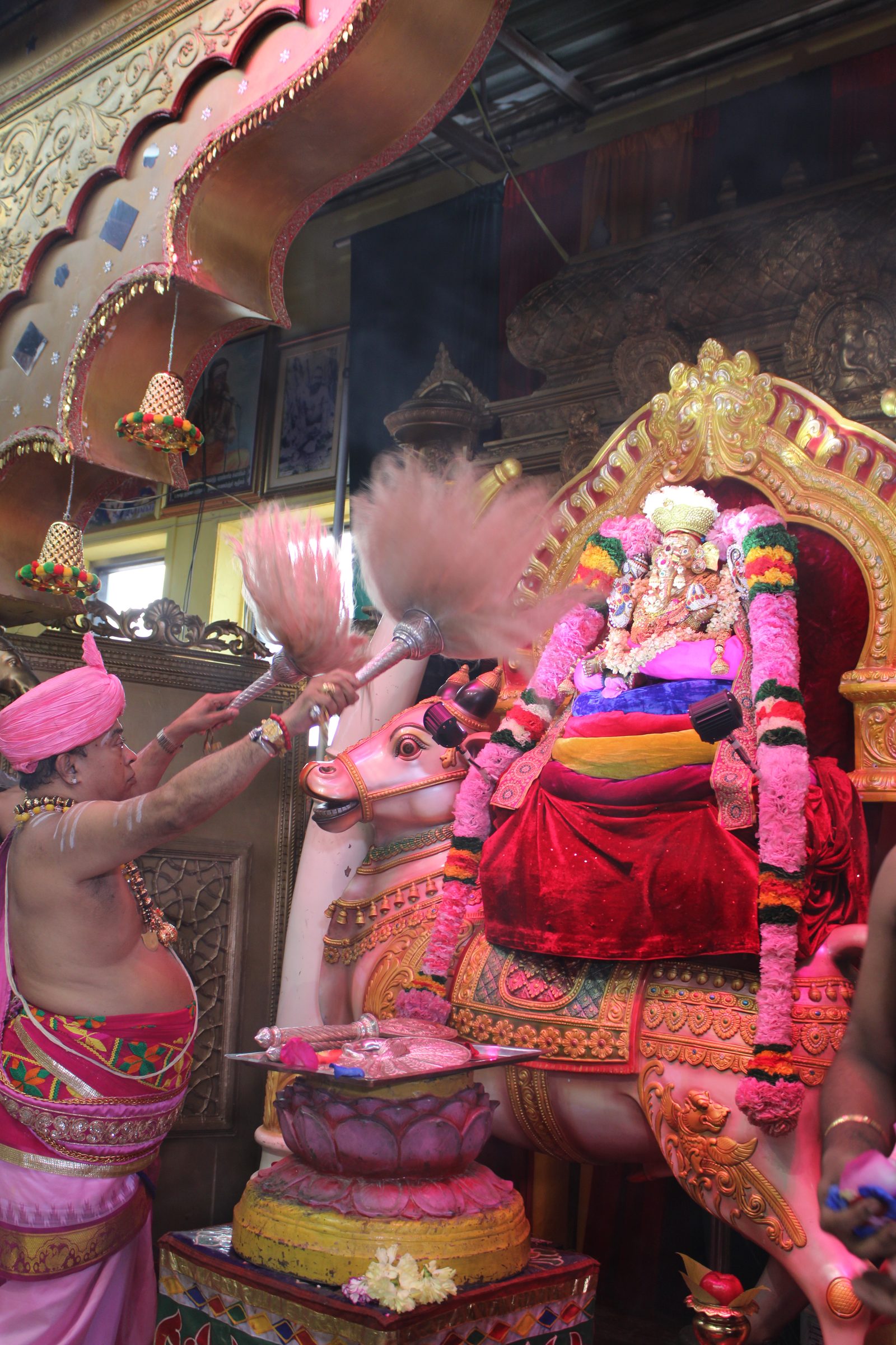 Festival 2024 photo