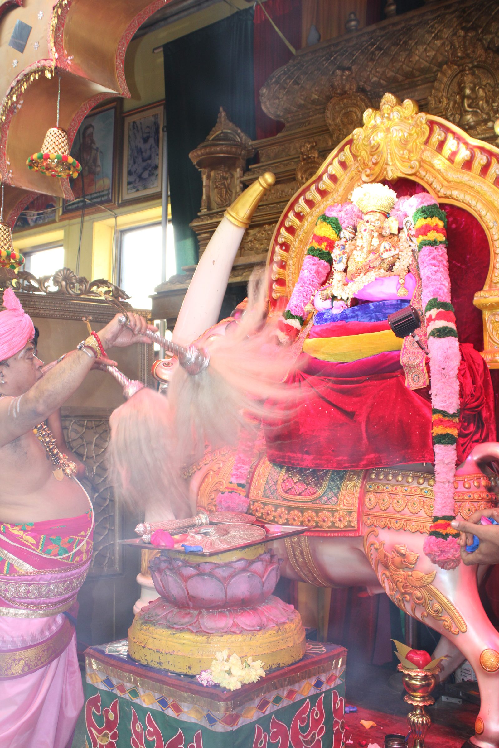 Festival 2024 photo