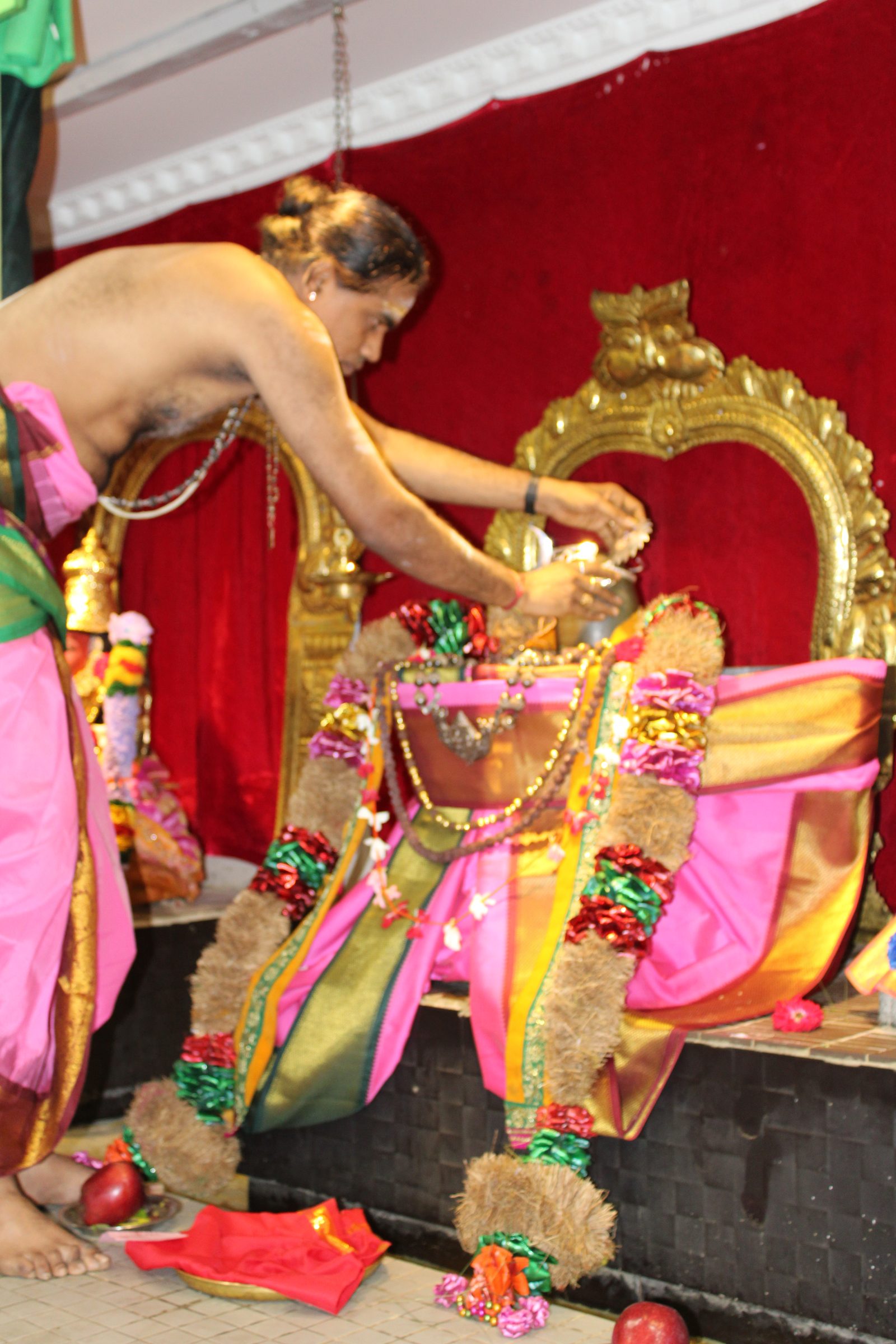 Festival 2024 photo