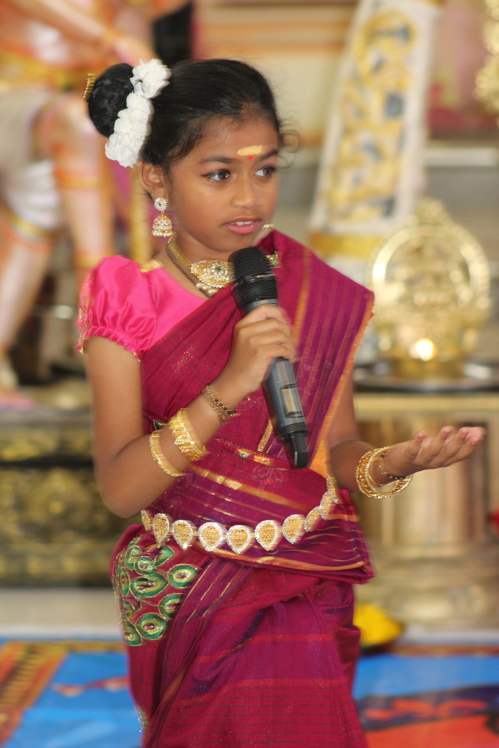 Festival 2024 photo
