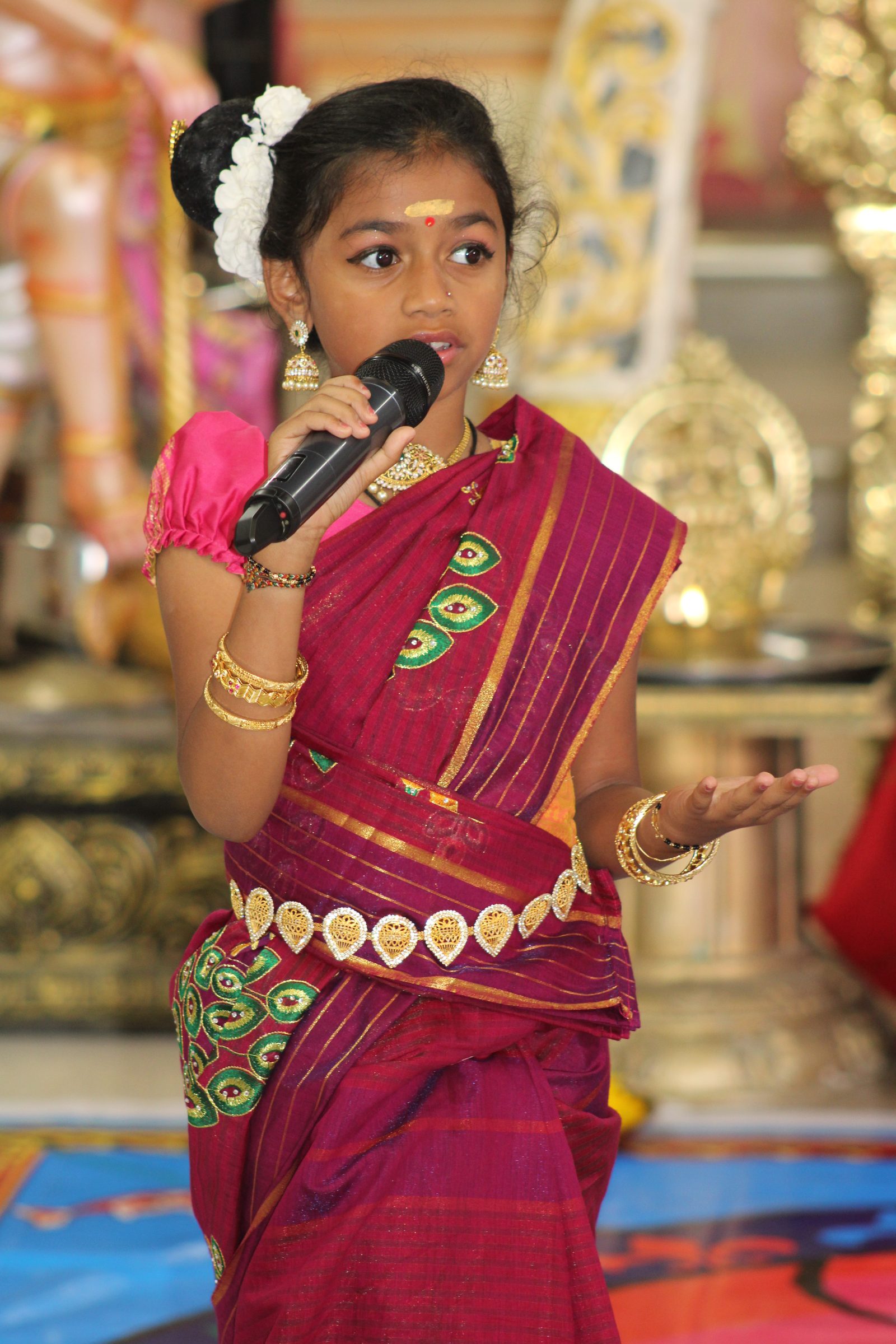 Festival 2024 photo
