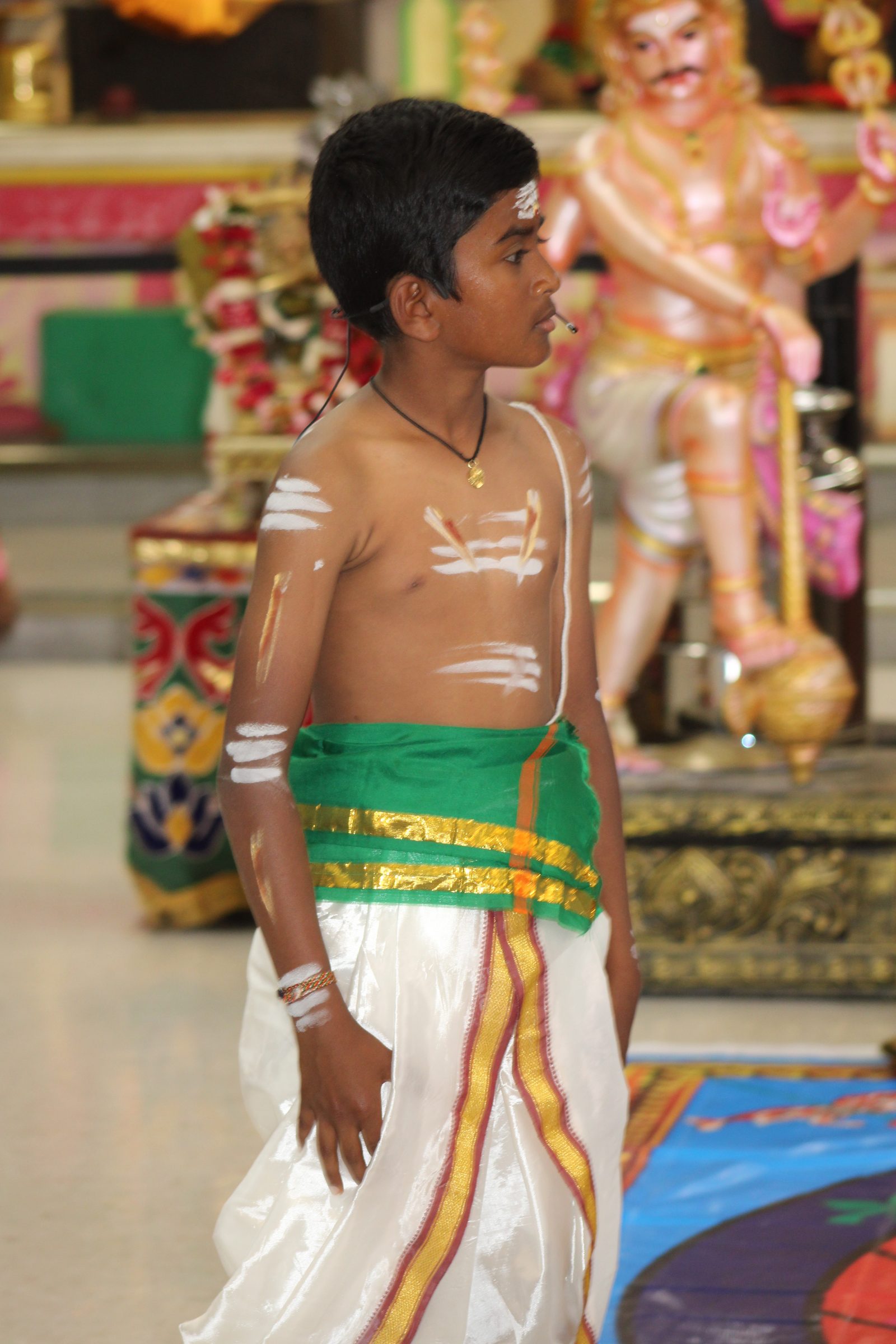 Festival 2024 photo
