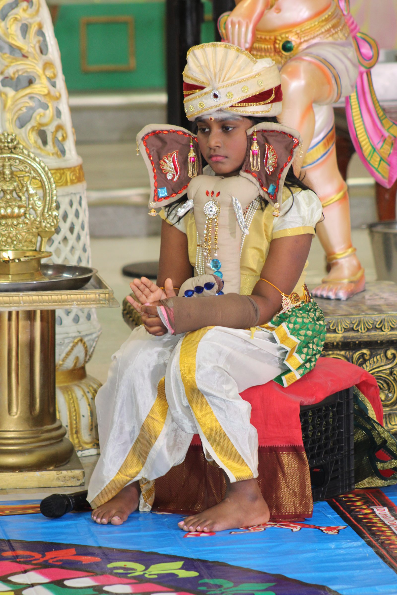 Festival 2024 photo