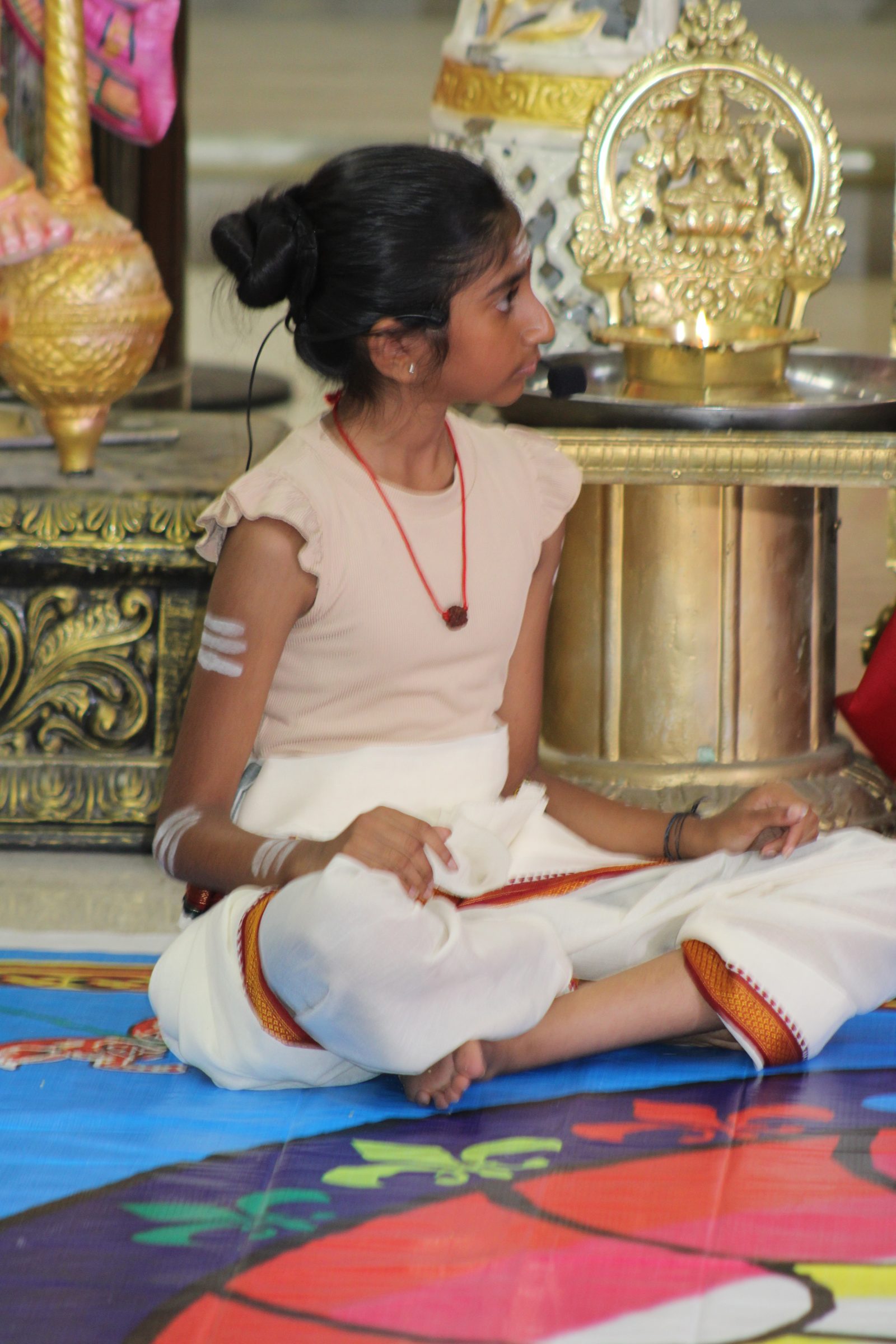 Festival 2024 photo