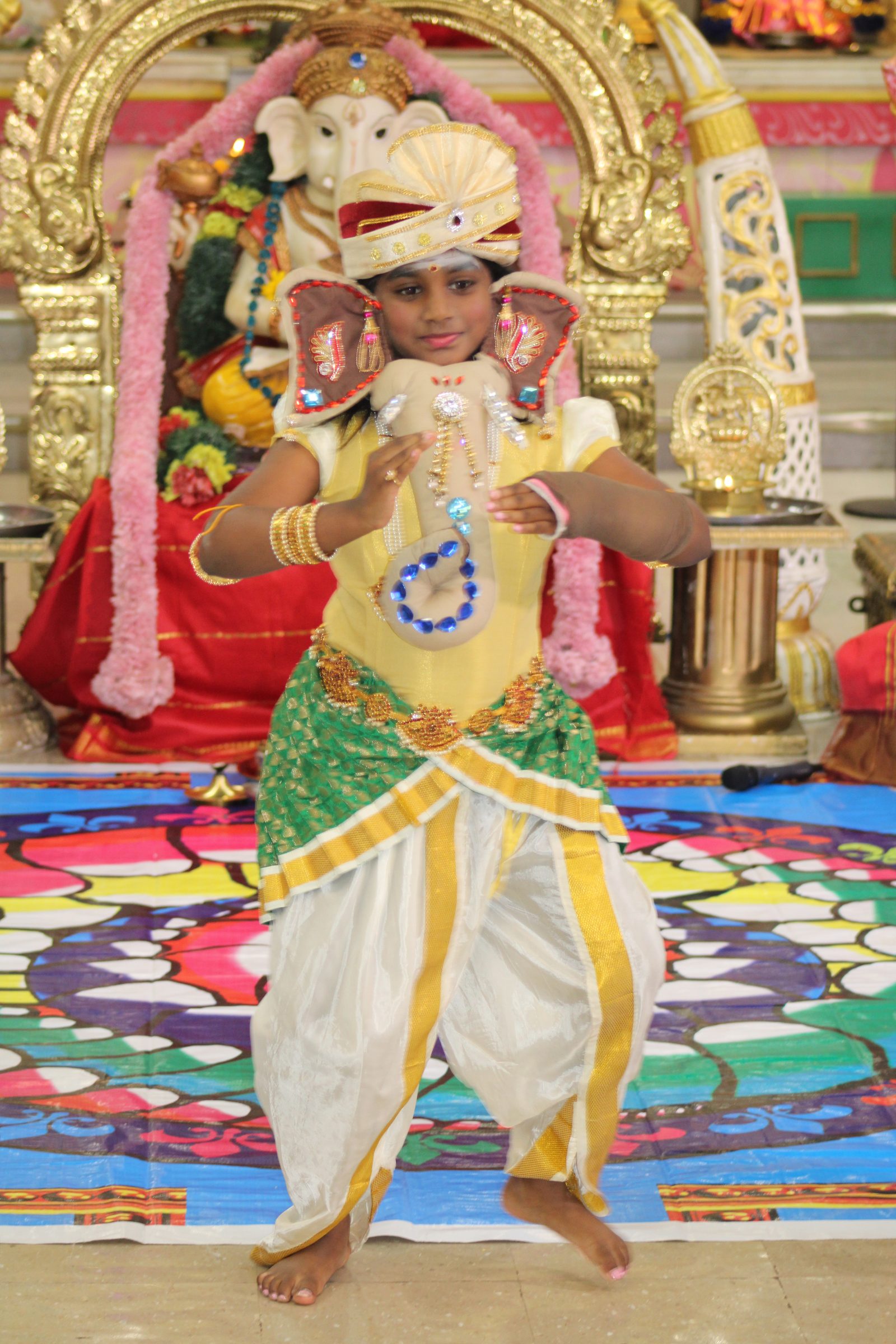Festival 2024 photo
