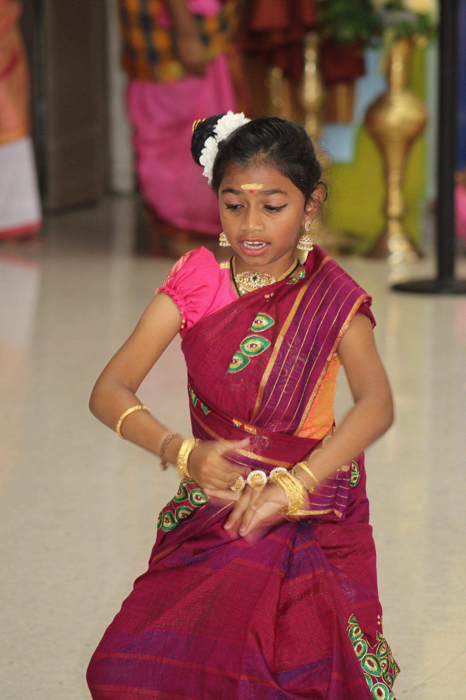 Festival 2024 photo
