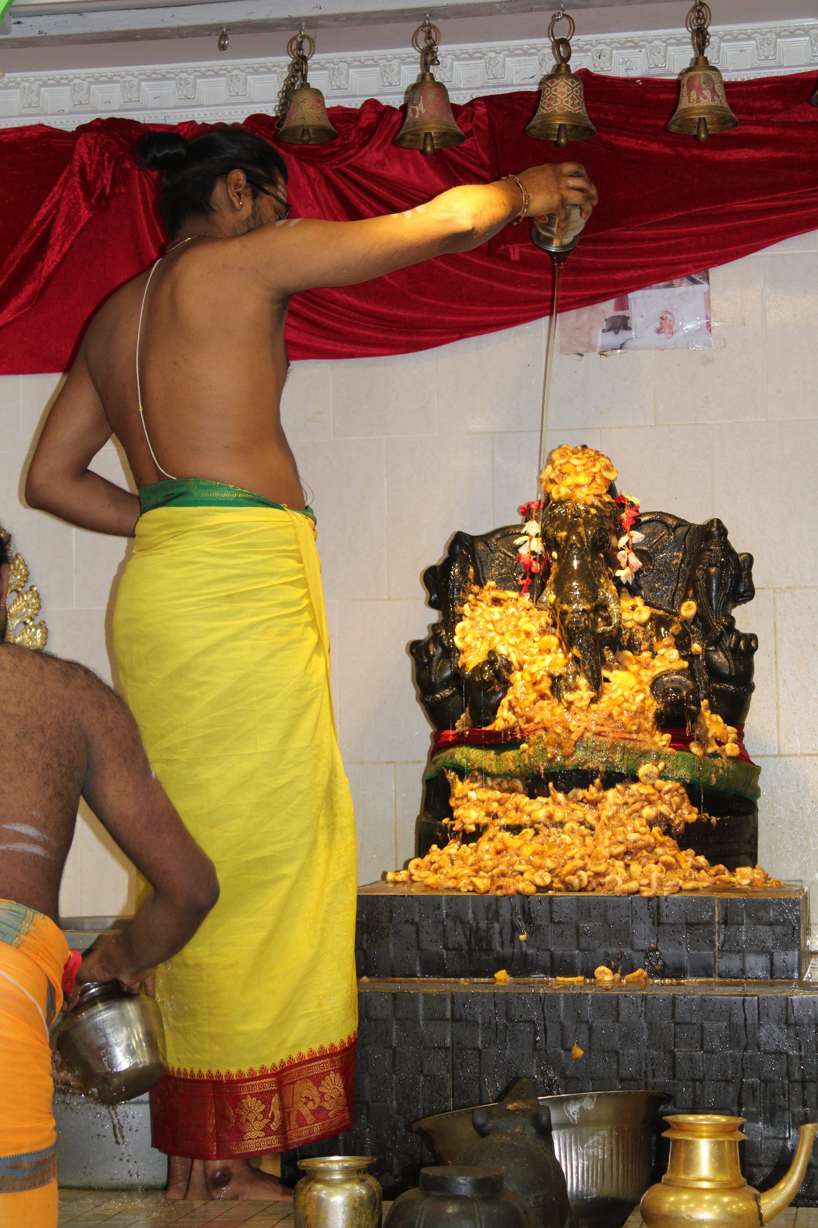 Festival 2024 photo
