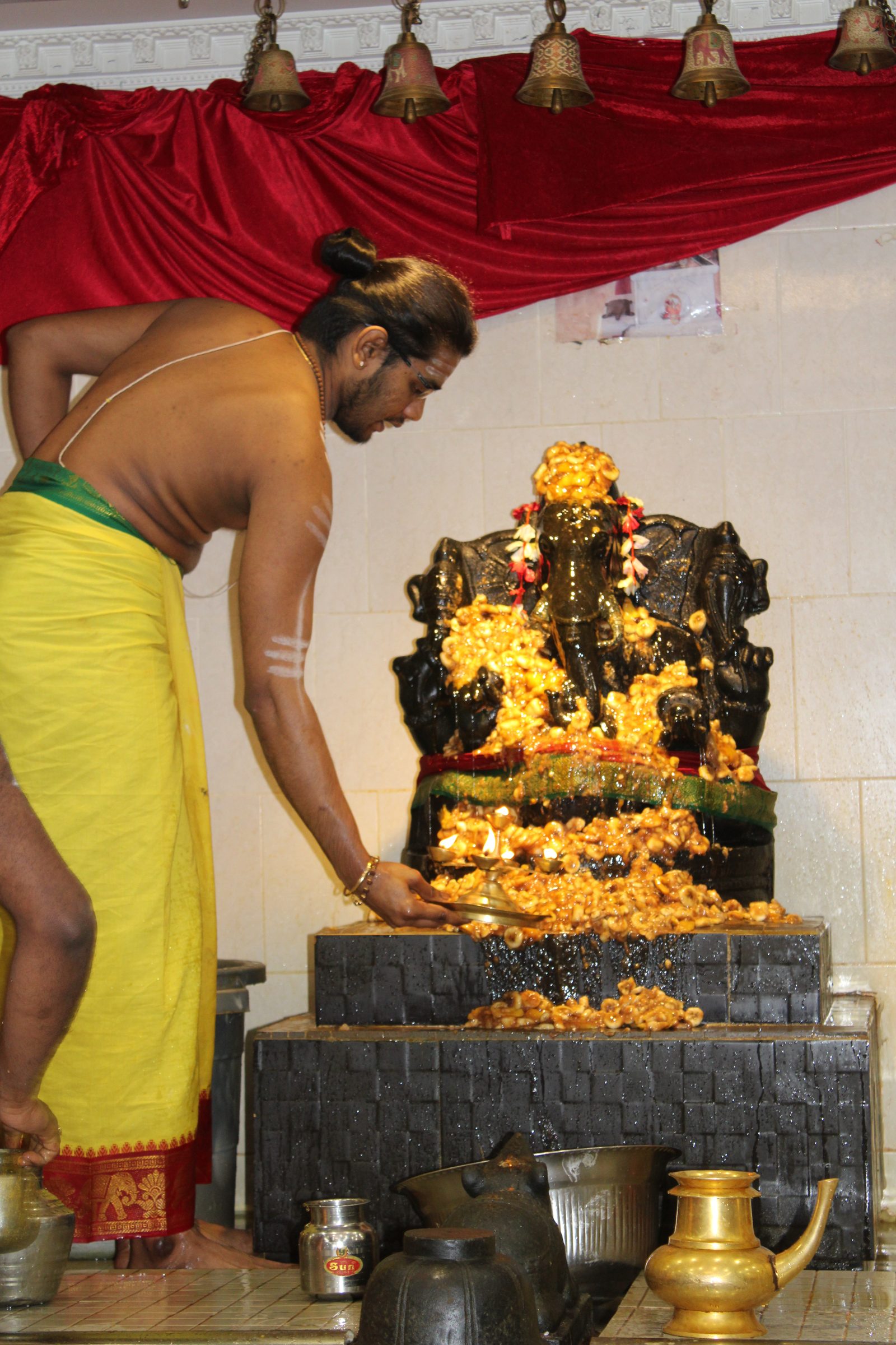 Festival 2024 photo