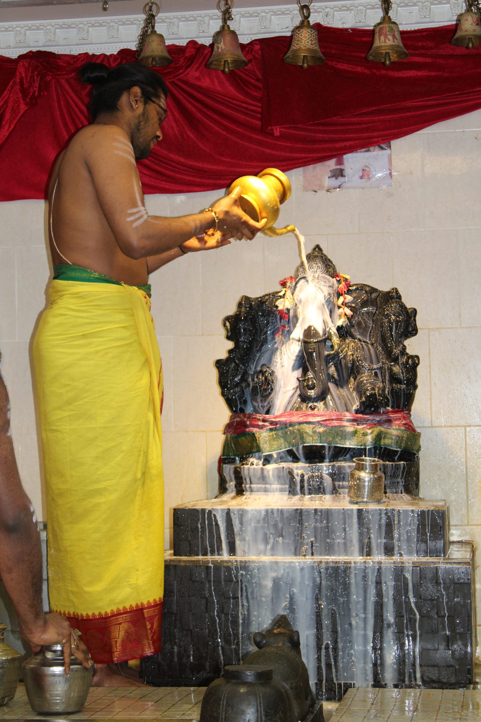 Festival 2024 photo