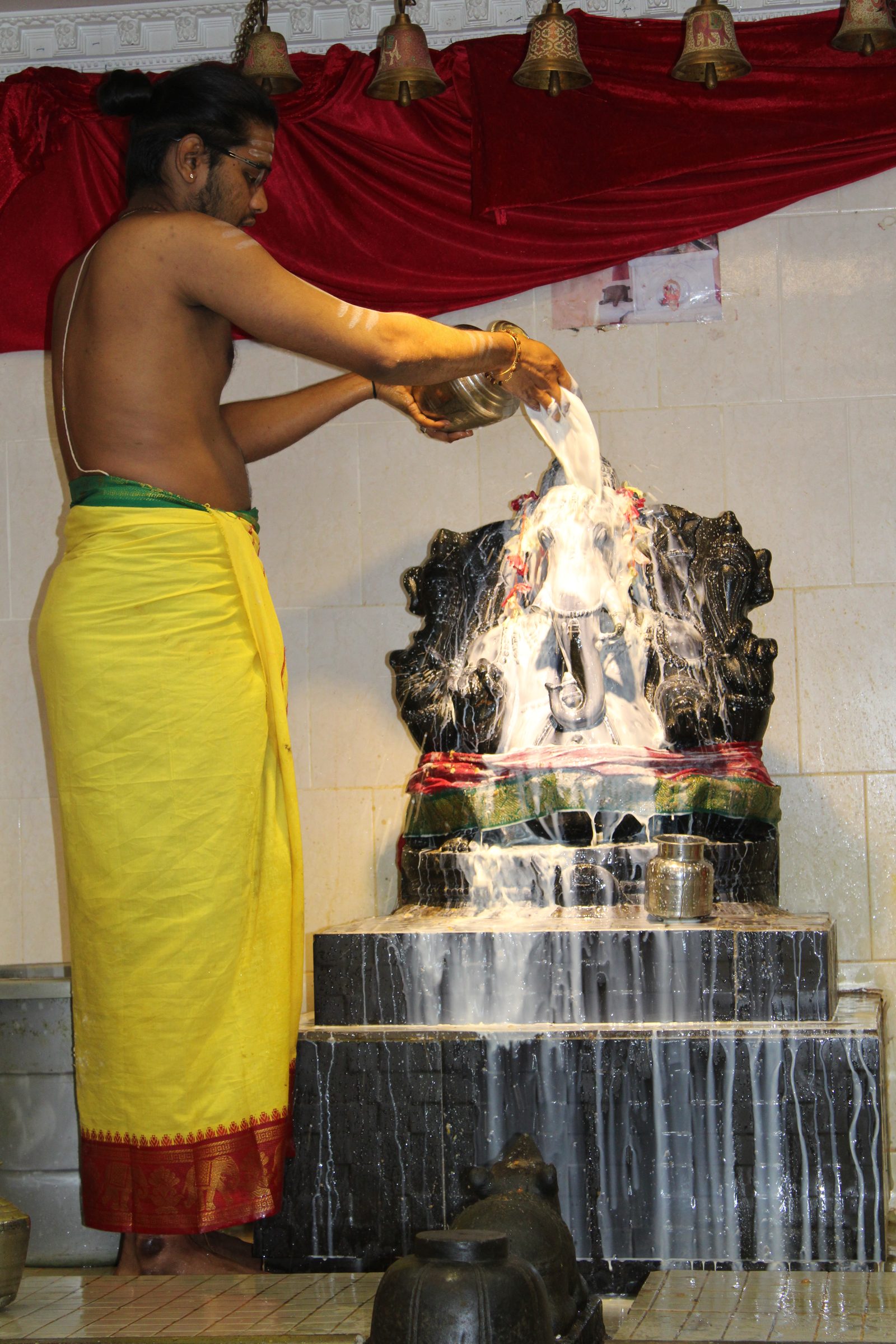 Festival 2024 photo