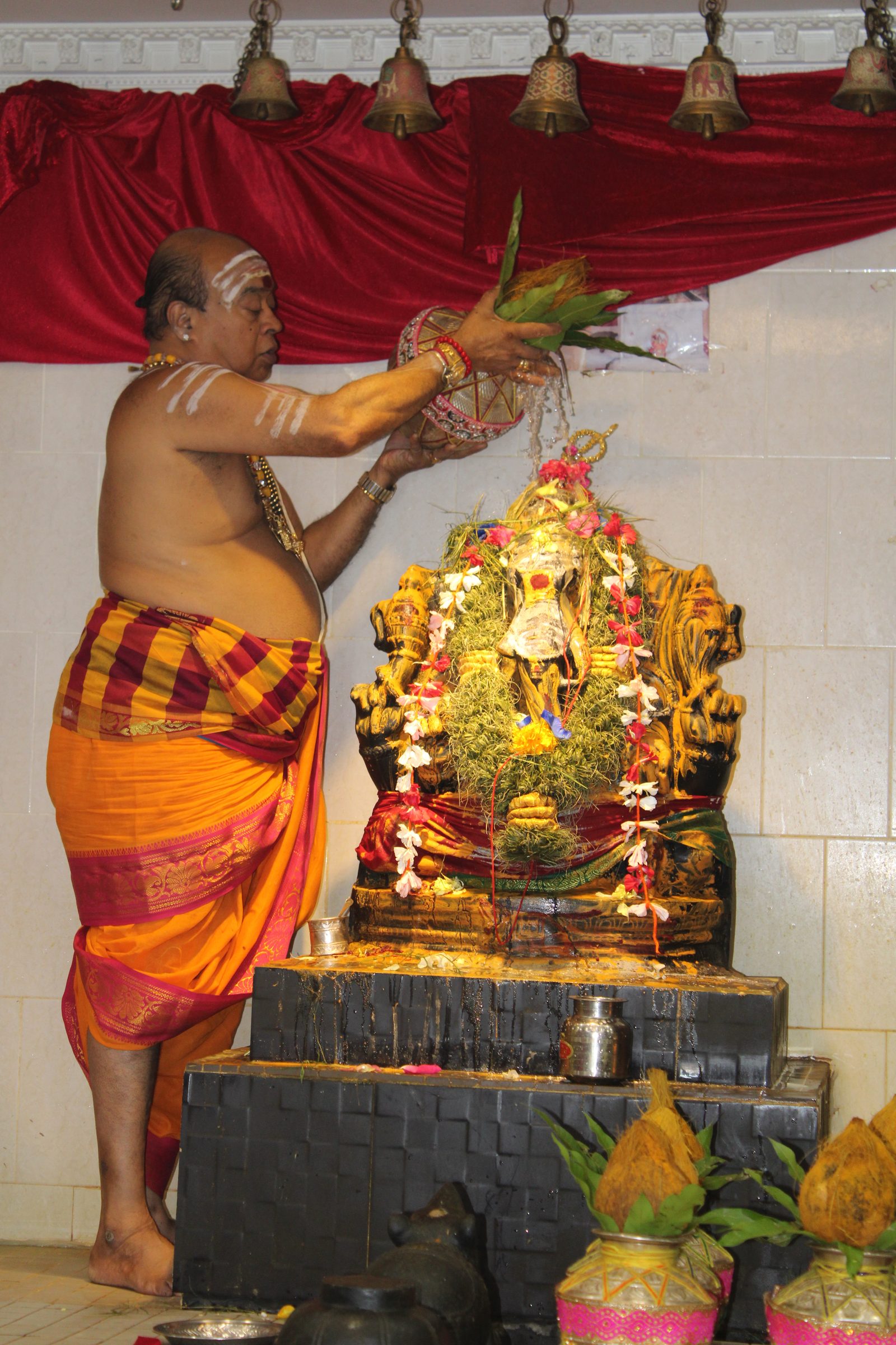 Festival 2024 photo