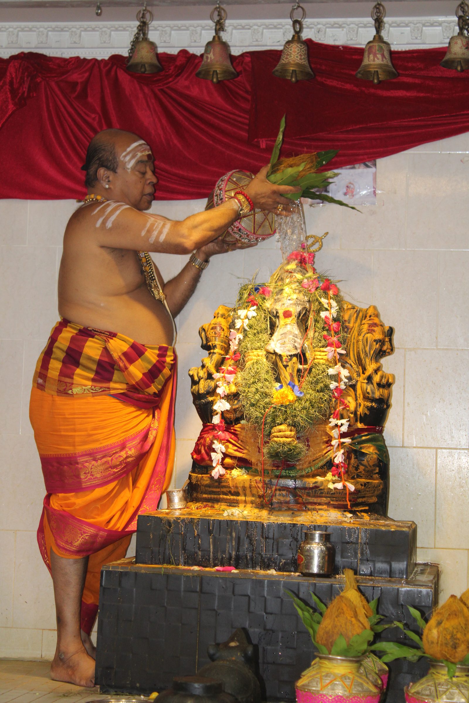 Festival 2024 photo