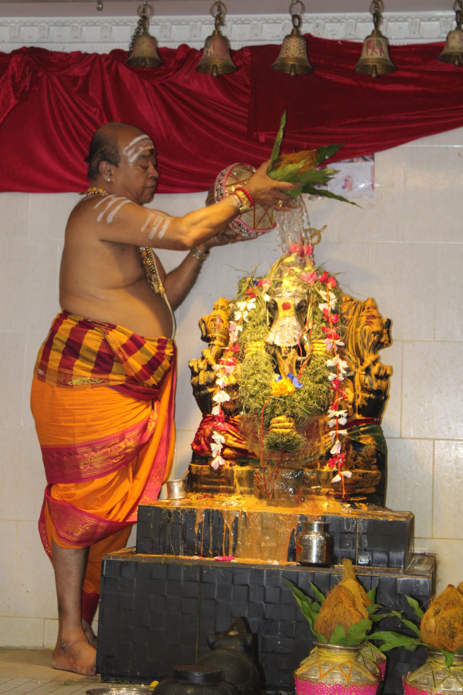 Festival 2024 photo