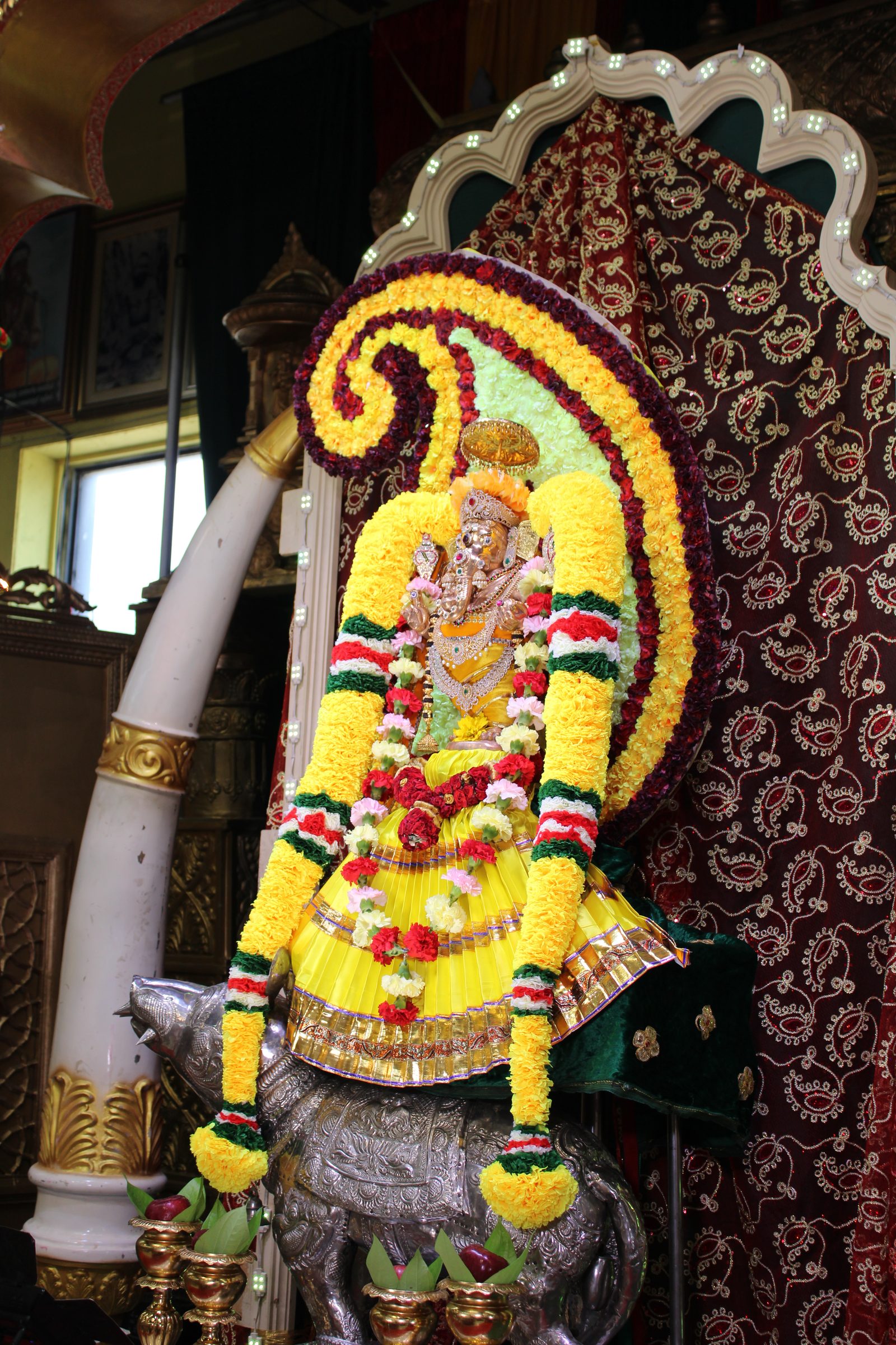 Festival 2024 photo