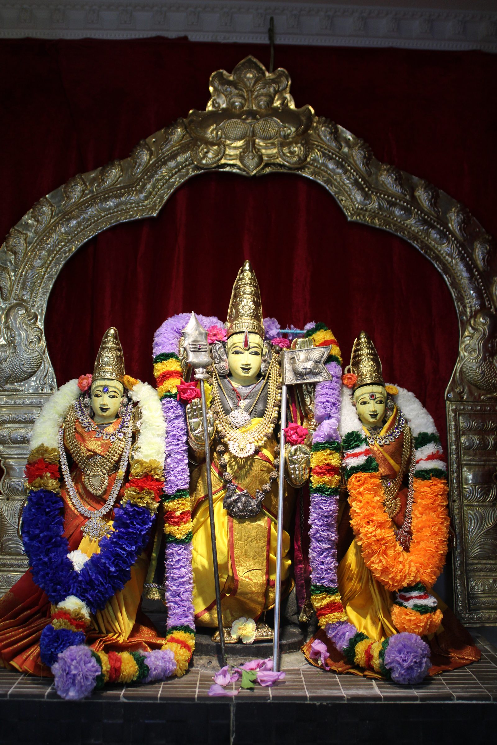 Festival 2024 photo