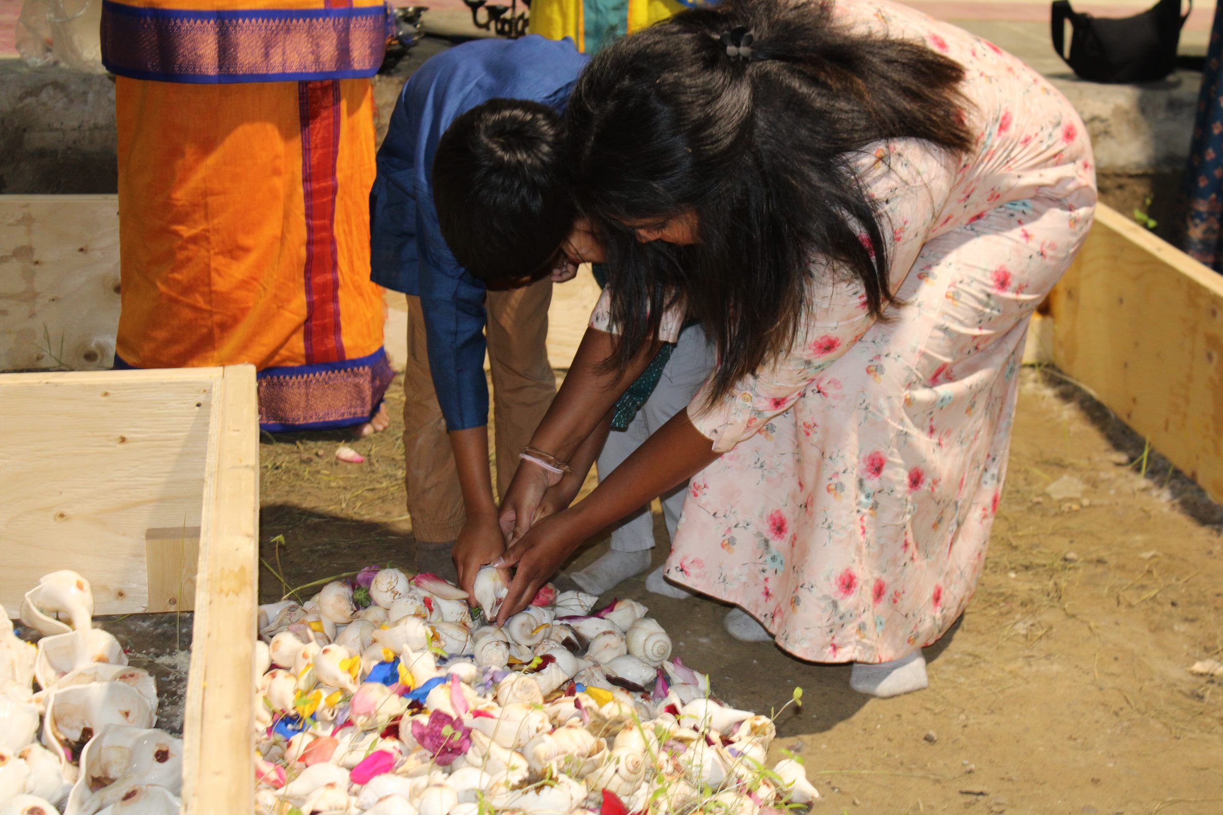 Festival 2024 photo